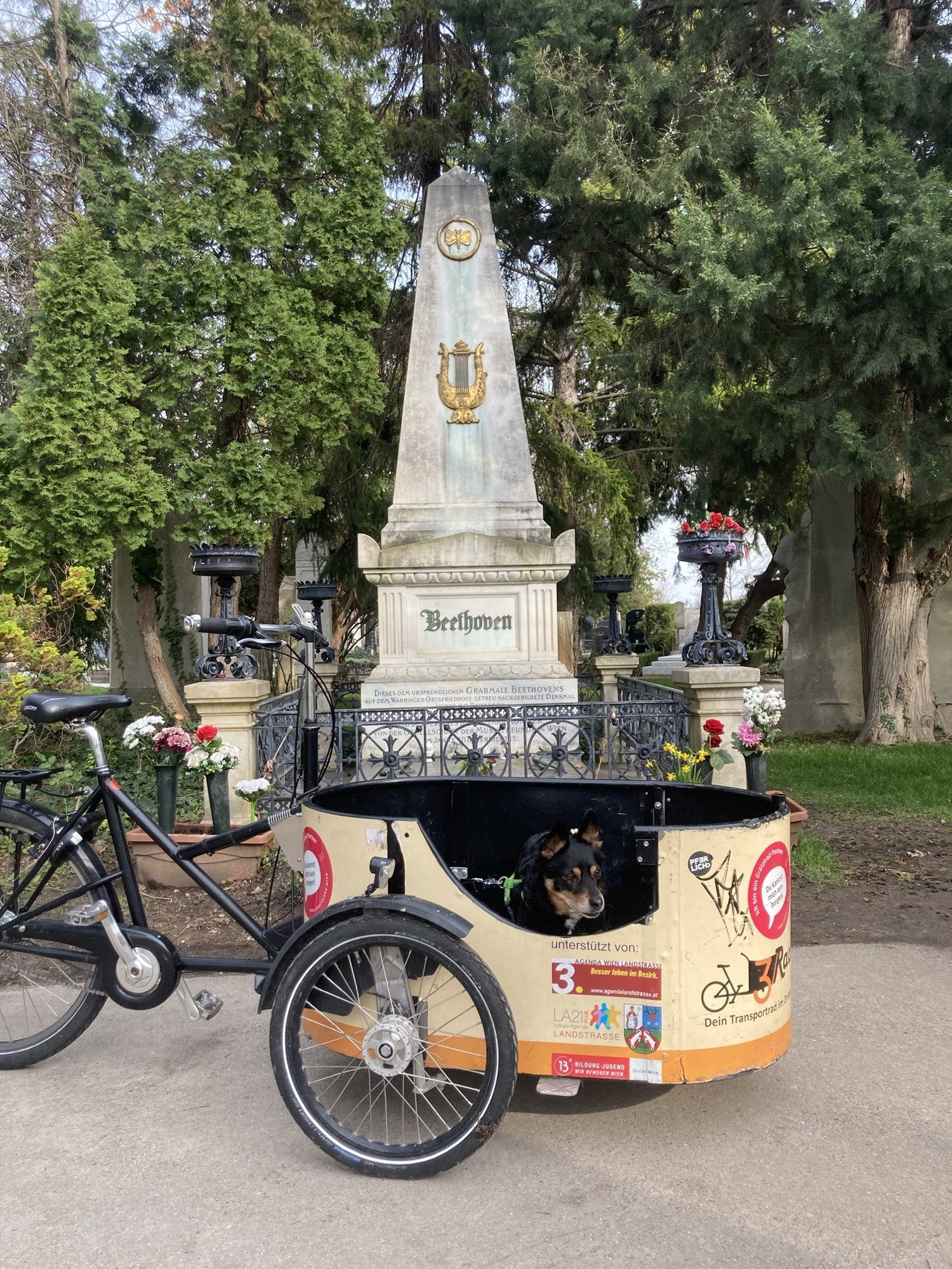 Lastenrad mit Hund im Korb vor dem Grab von Beethoven, der oben spitz zulaufende Stein ist dekoriert mit einer goldenen Harfe und einem Kreis mit einem Schmetterling darin