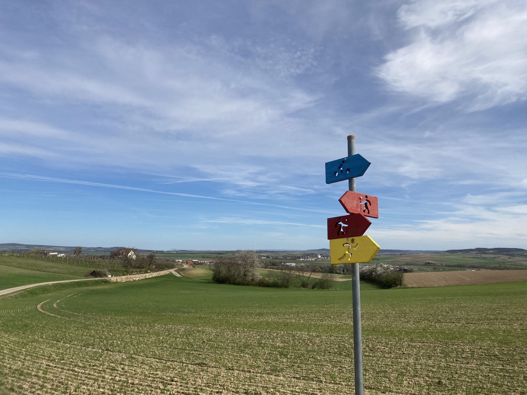 Weinviertel-Panorama, Felder mit erstem Grün, Weinberge, Feldweg, im Vordergrund ein Wegweiser mit verschiedenfarbigen Holzpfeilen
