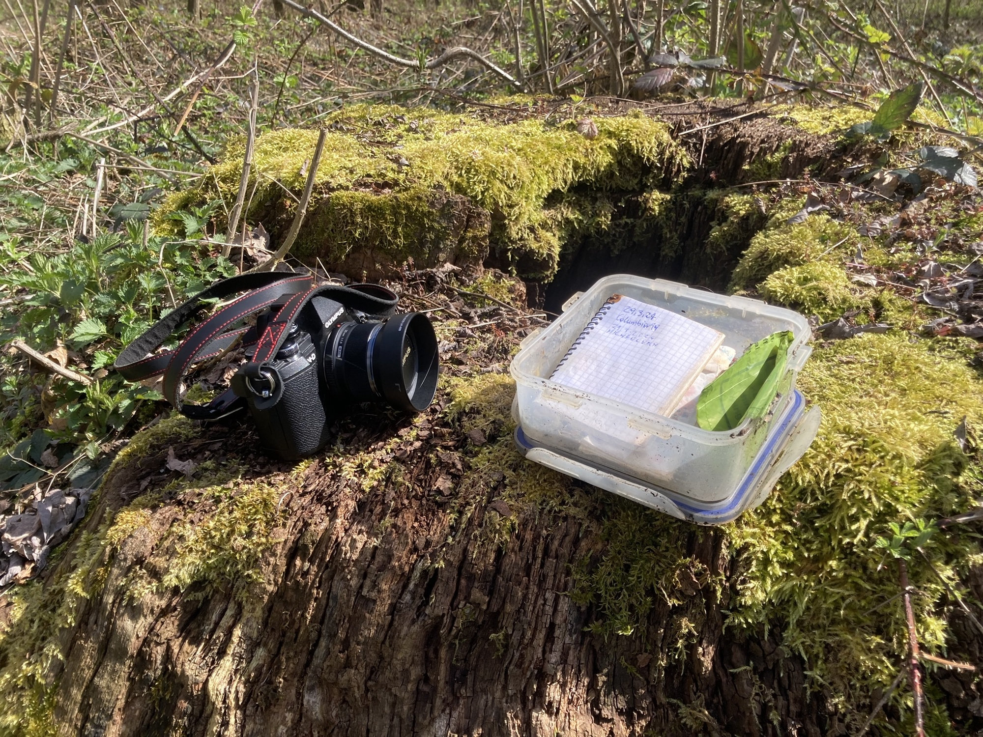 auf einem Baumstumpf liegt eine Digitalkamera und daneben ein Geocache (eine Plastikbox mit einem Logbuch darin)
