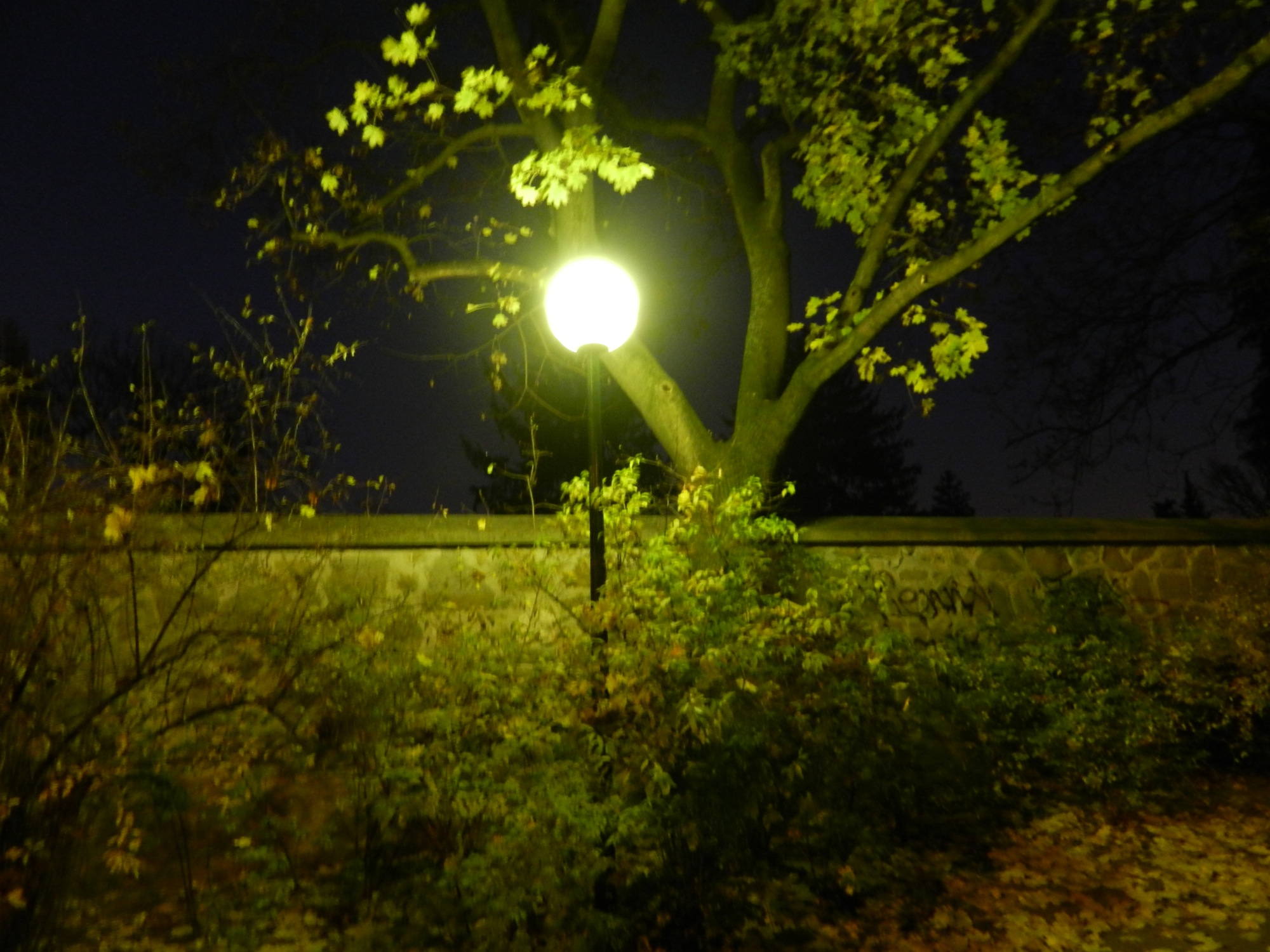 Lampe im Matzner Park, eher nicht farbecht, grünstichig