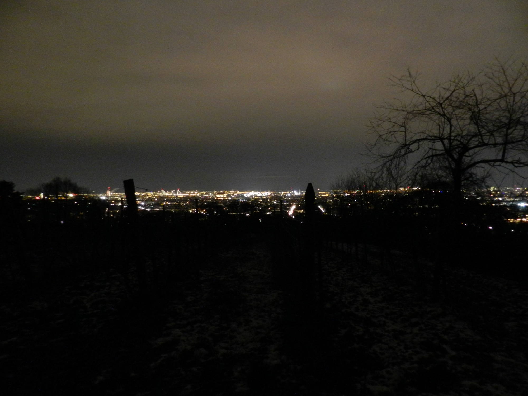 Nachtausblick vom Wilhelminenberg
