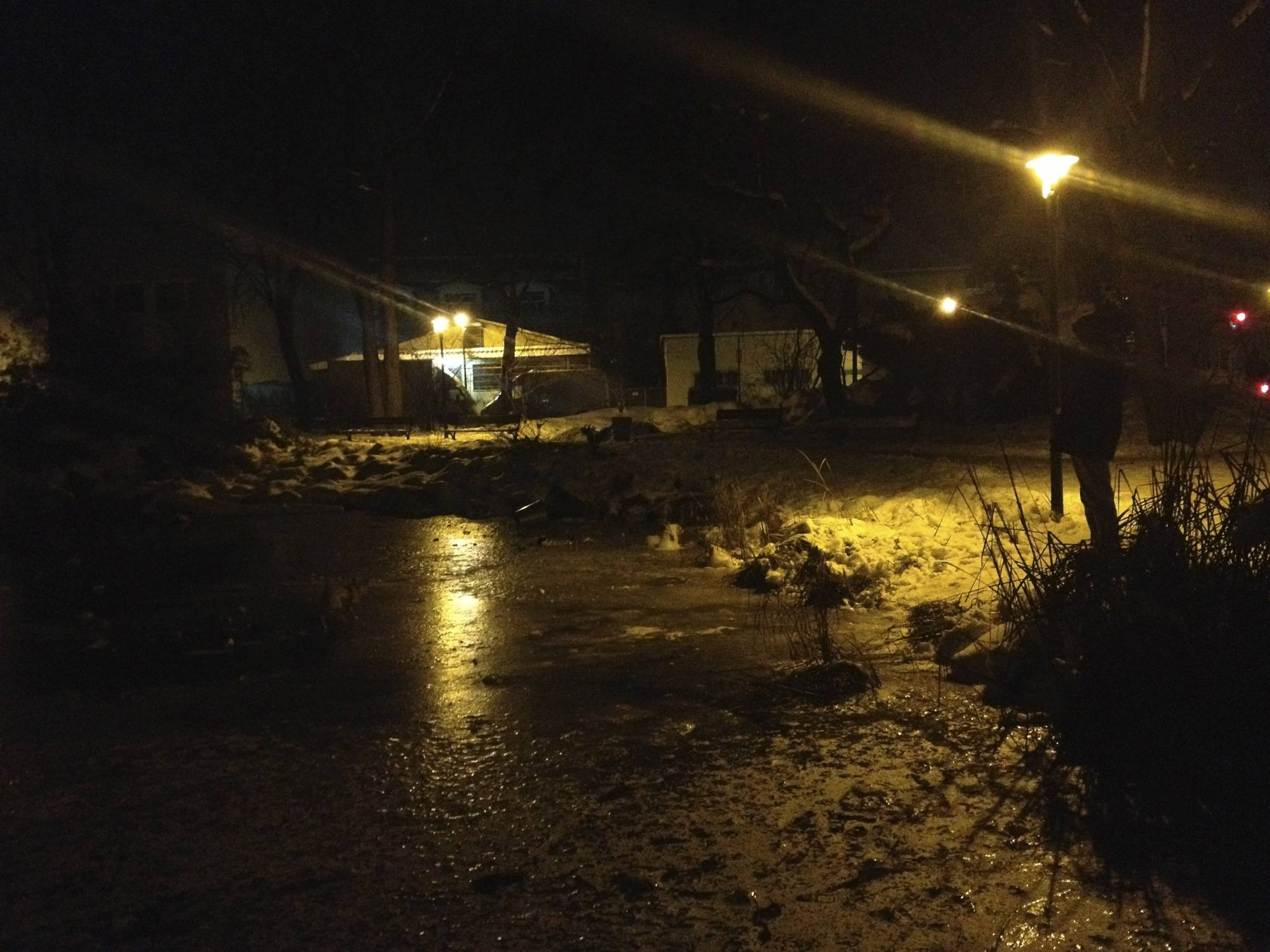 Teich im Stockerauer Stadtpark, zugefroren, bei Nacht, Hund auf dem Eis