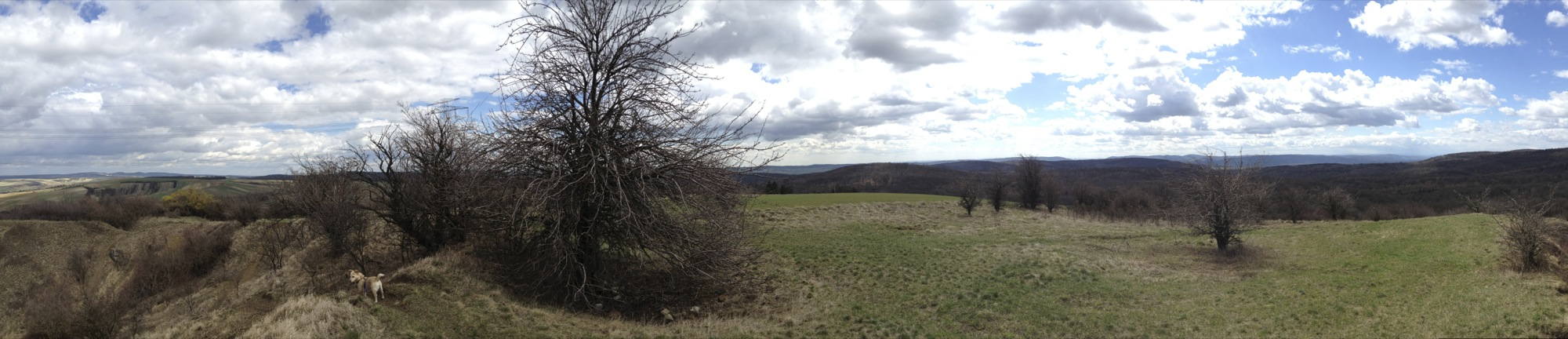 Panorama vom Steinberg Teil 1