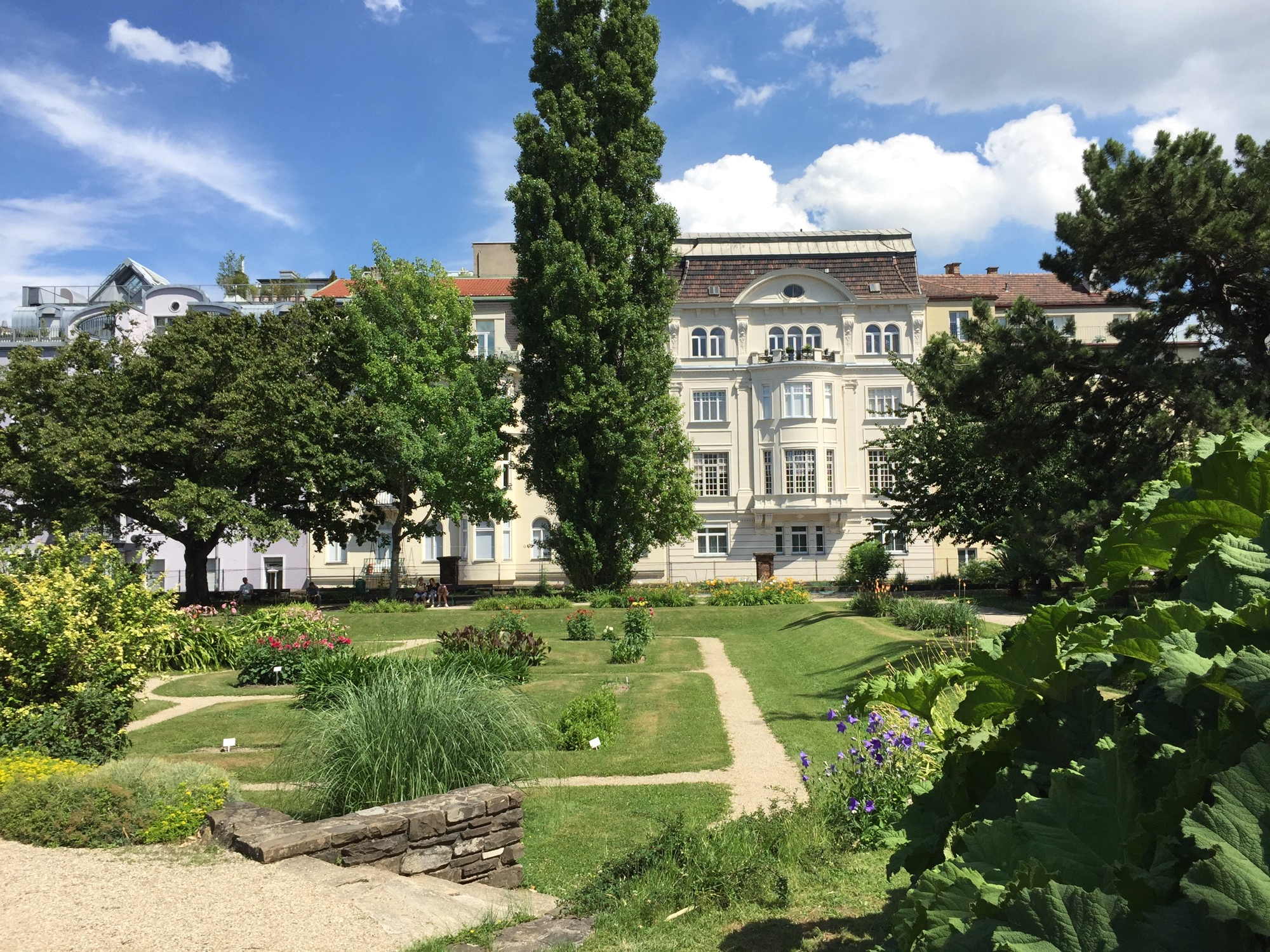 Überblick über einen Teil des botanischen Gartens in Wien, der in dieser Richtung an die Jacquingasse grenzt