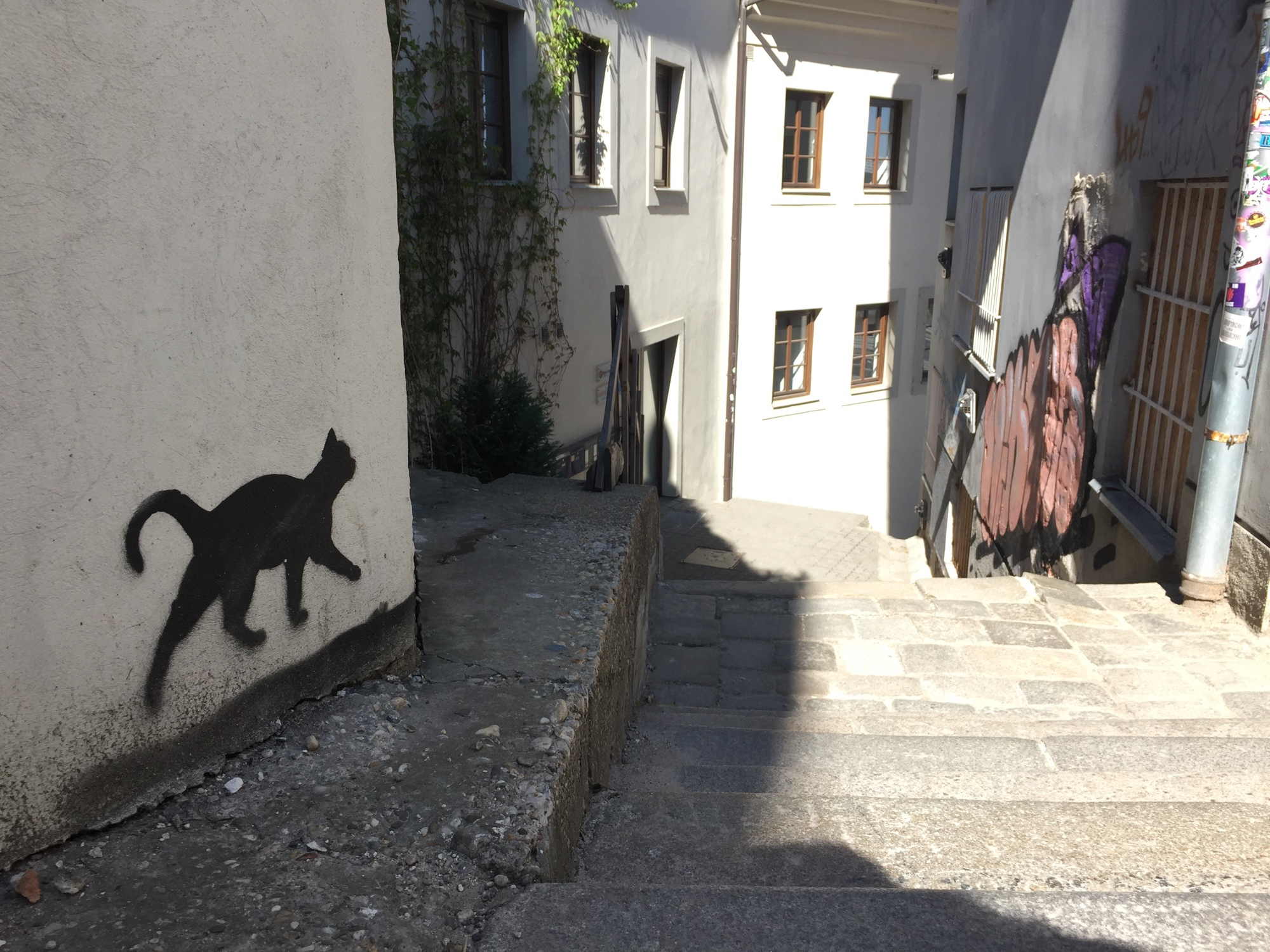 Treppe zur Burg von Bratislava, Vorsicht, schwarze Katze von links