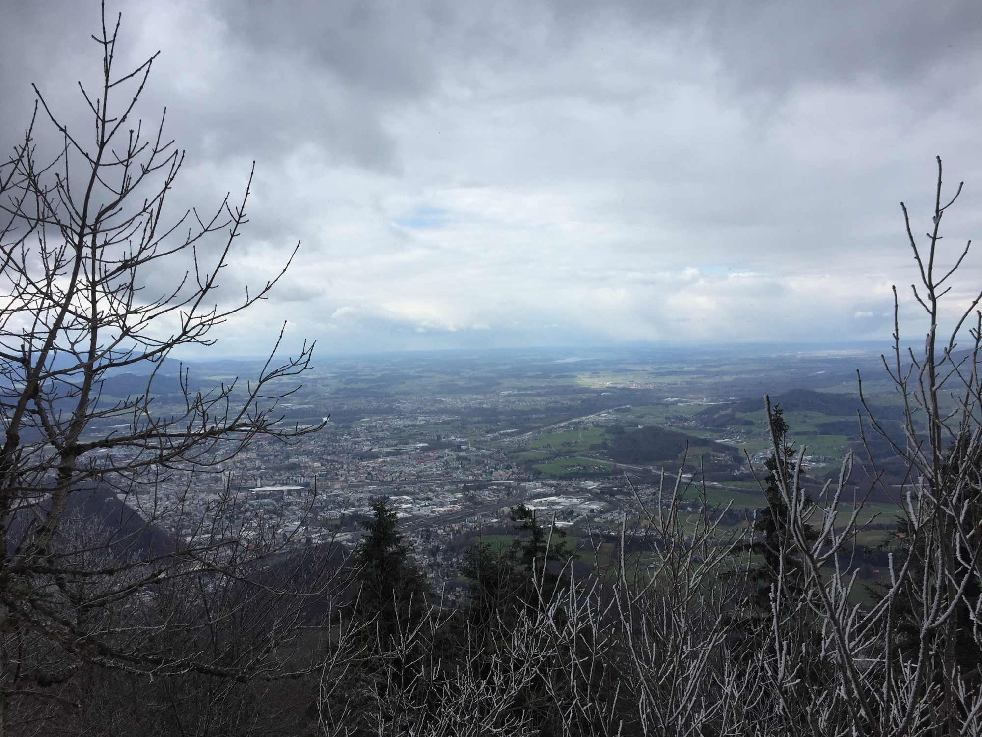 Ausblick auf die Stadt Salzburg von unterhalb des Gaisberg-Senders, mit eisverkrusteter Vegetation im Vordergrund