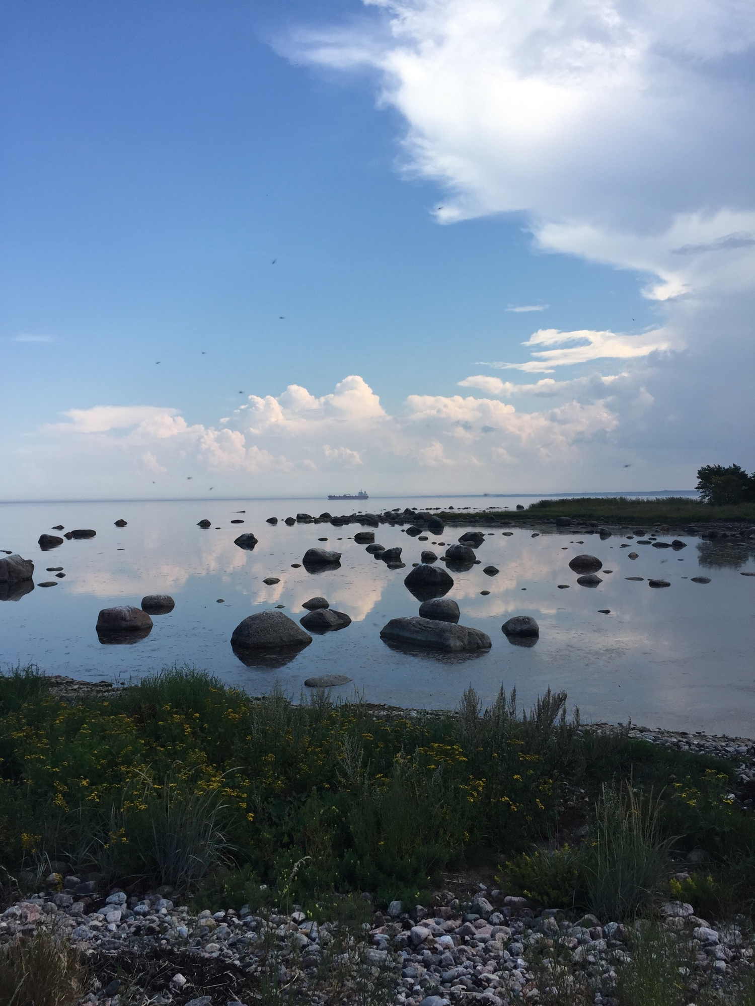 Bucht im Norden von Aegna, im Vordergrund große Steine in einem ruhigen Wasser, am Horizont ein Frachtschiff, am Himmel Wolken