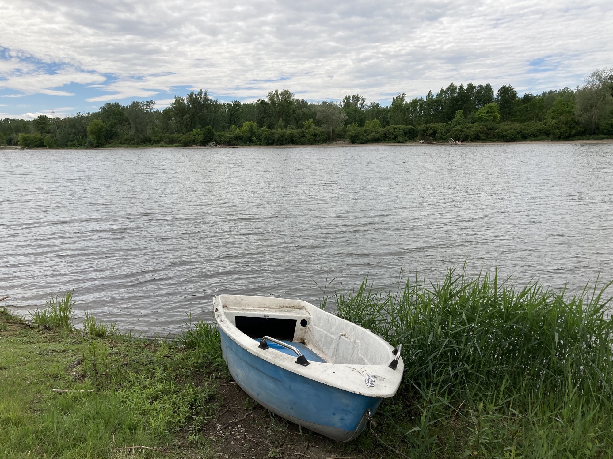 blau-weißes Boot am Ufer der Krems
