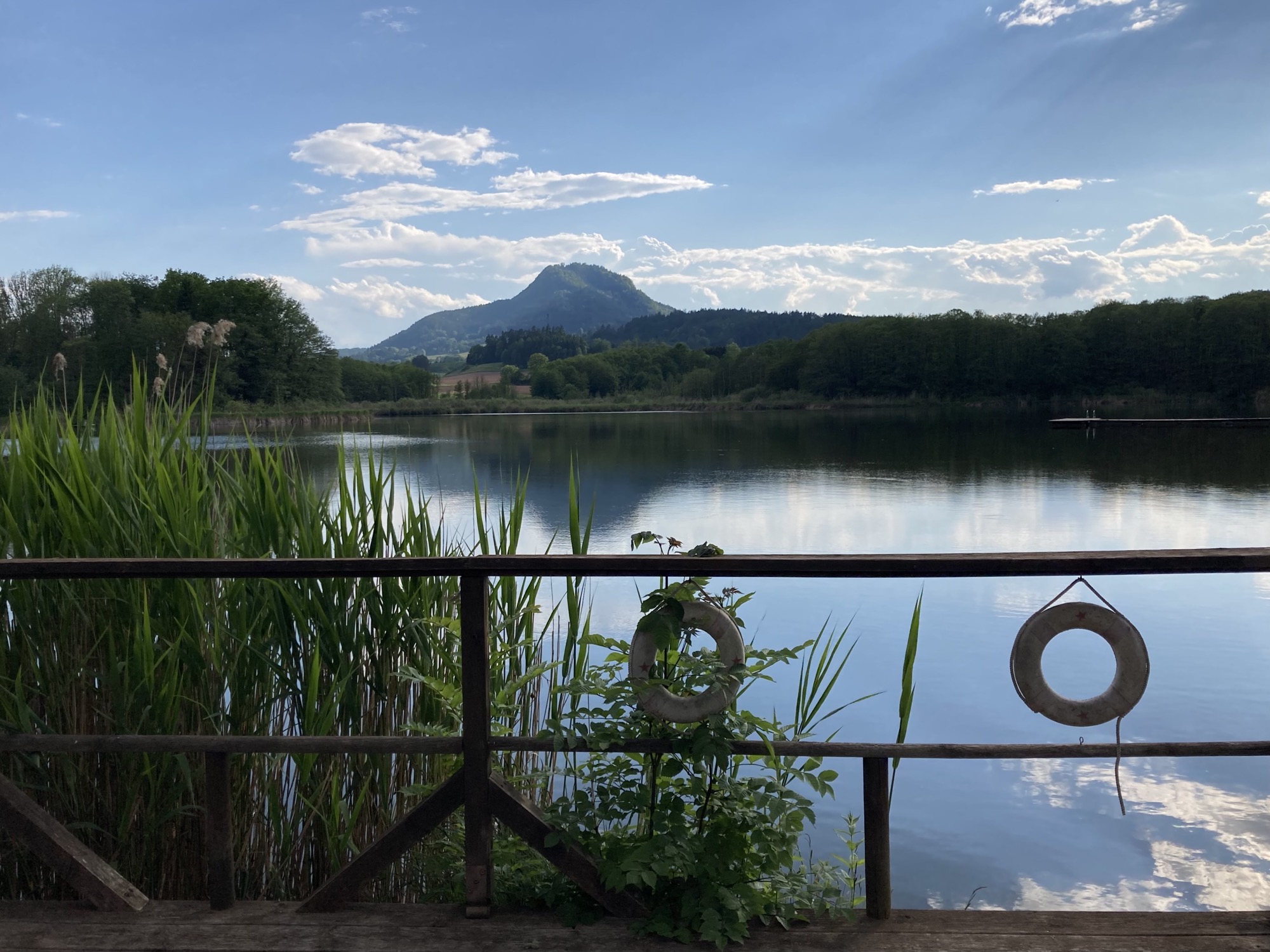 Hörzendorfer See, im Vordergrund ein Geländer mit verwitterten Rettungsringen