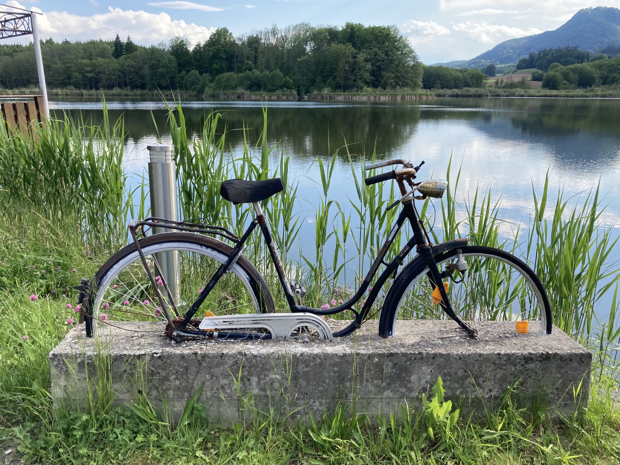 Kunst am Hörzendorfer See, ein altes Fahrrad, das bis zur Mitte der Reifen in einem Betonblock eingelassen ist