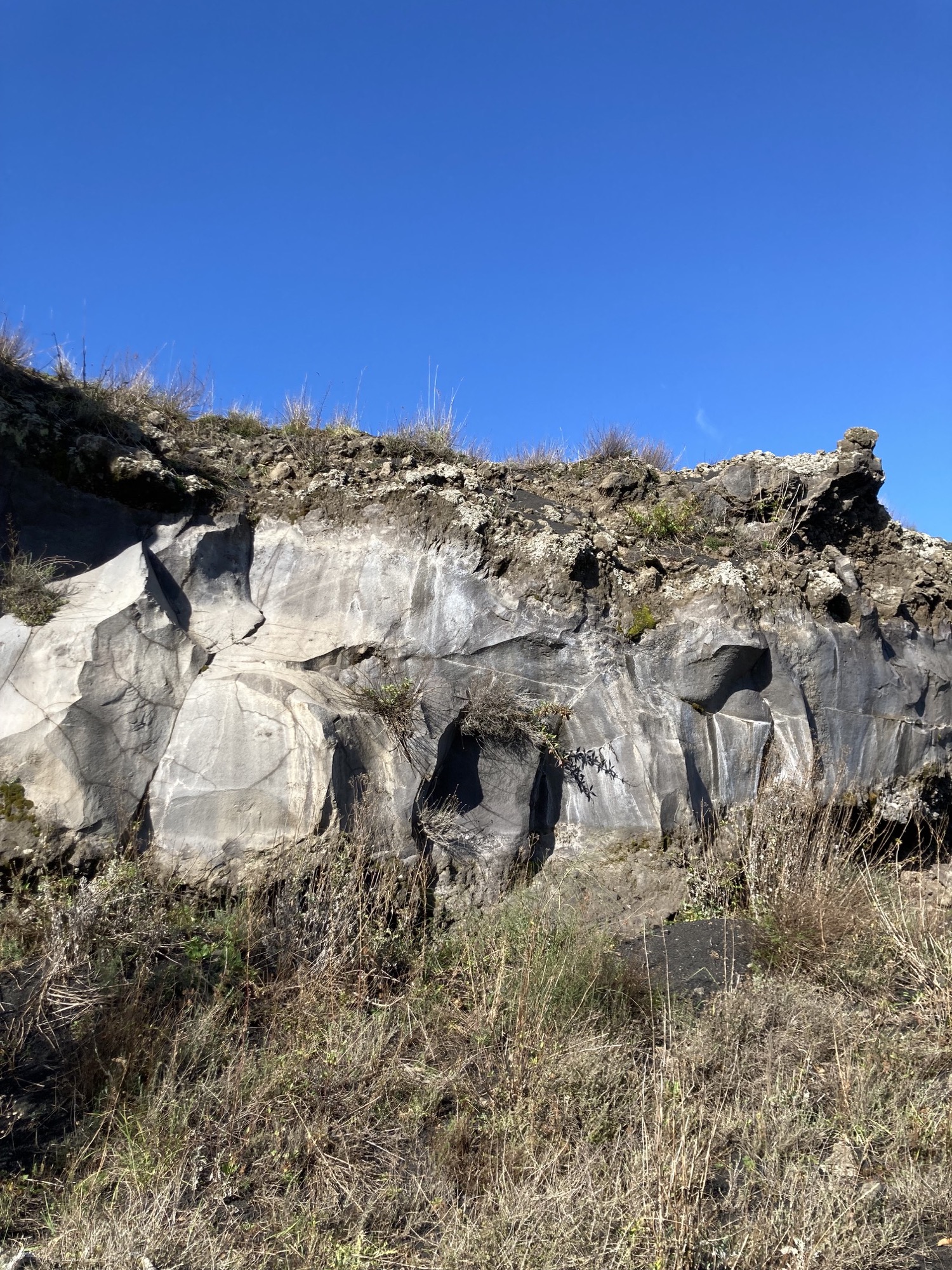 vulkanisches Gestein aus erkalteter Lava (Basalt), bewachsen von wildem Thymian und anderen Gräsern