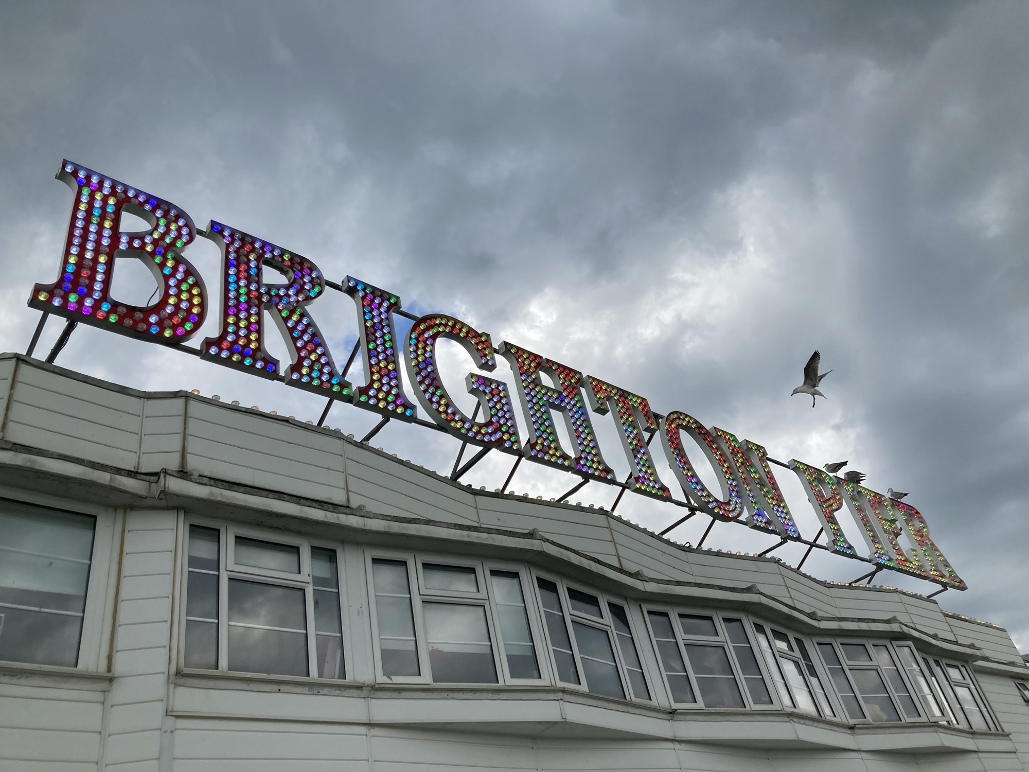 Leuchtschrift „Brighton Pier“ auf dem Dach eines Gebäudes, rechts setzt gerade ein Möwe zur Landung auf dem Schriftzug an