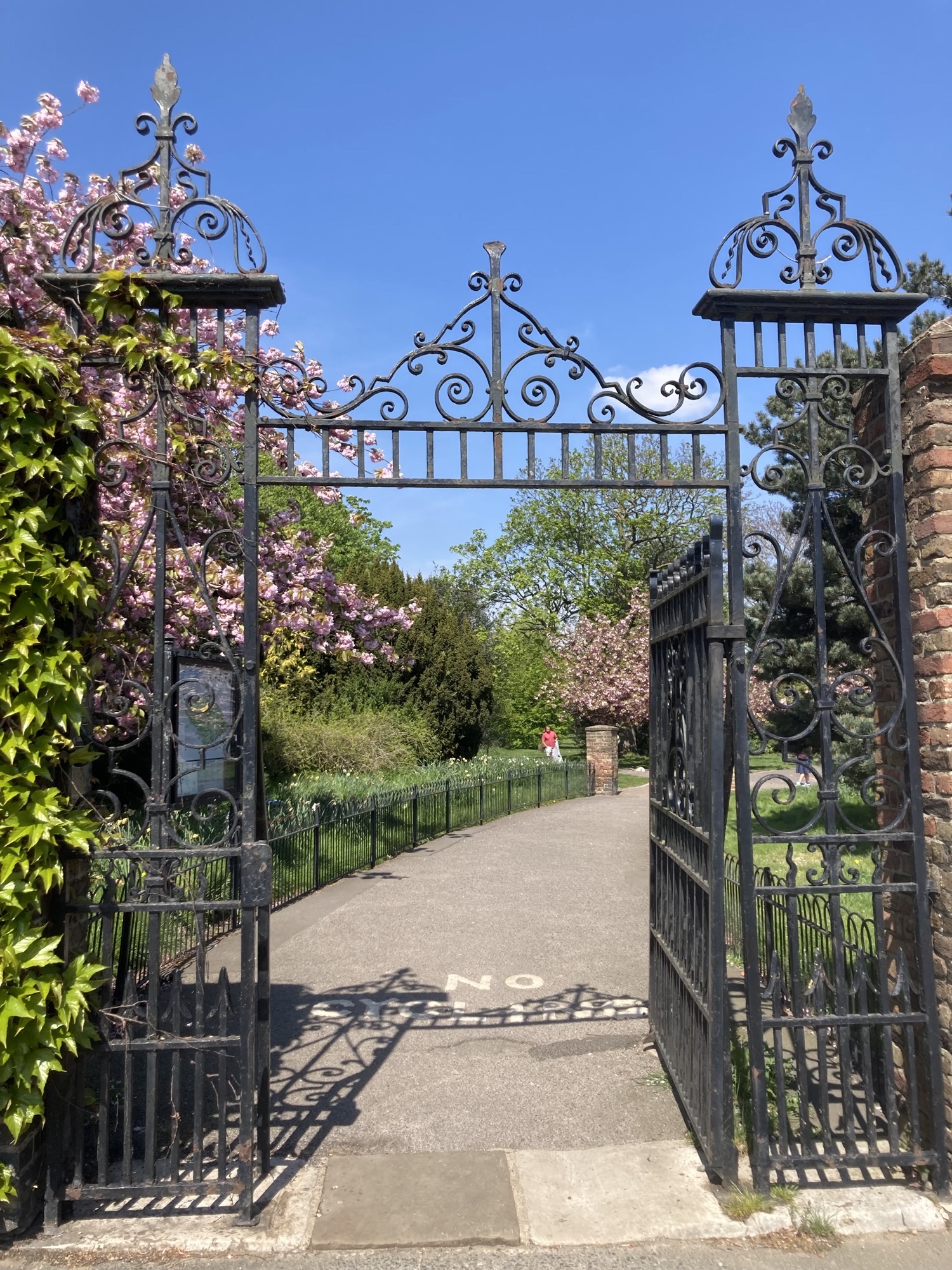 schmiedeisernes Eingangstor in den Greenwich Park, rechts eingefasst von einer Mauer, links von Efeu, im Garten sind Bäume mit rosa Blüten zu sehen, auf dem Boden ist der Schriftzug „No Cycling“