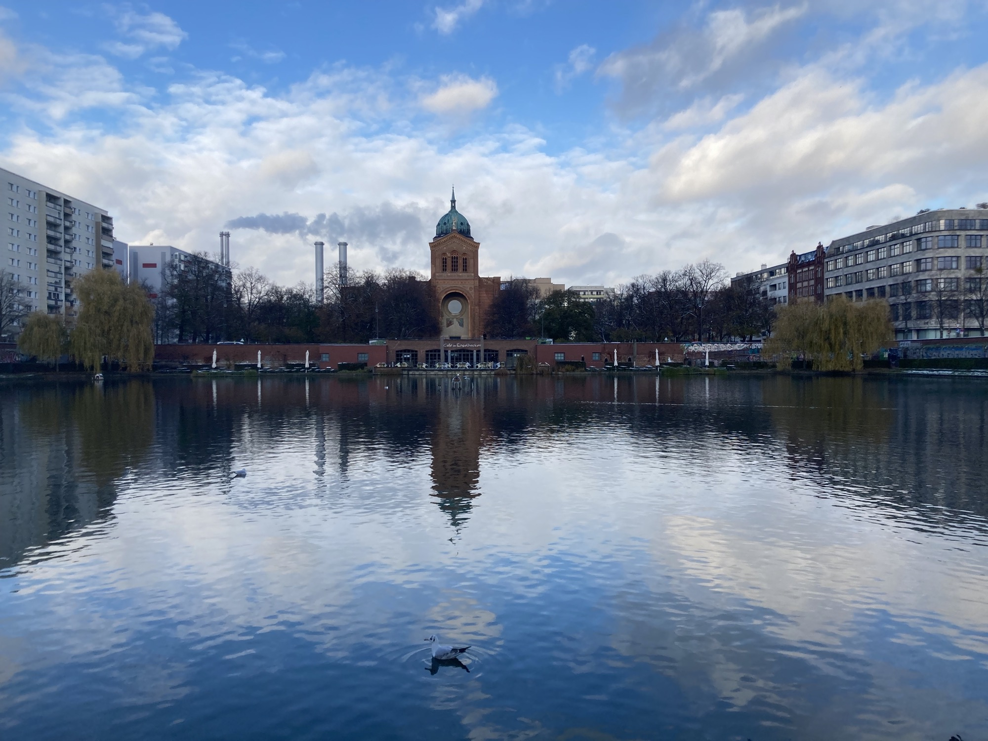 Blick über die Wasserfläche des Engelbeckens, im Vordergrund schwimmt eine Möwe im Profil, im Hintergrund sind die Kirche St. Michael und die rauchenden Schlote des Heizkraftwerks Berlin Mitte zu sehen
