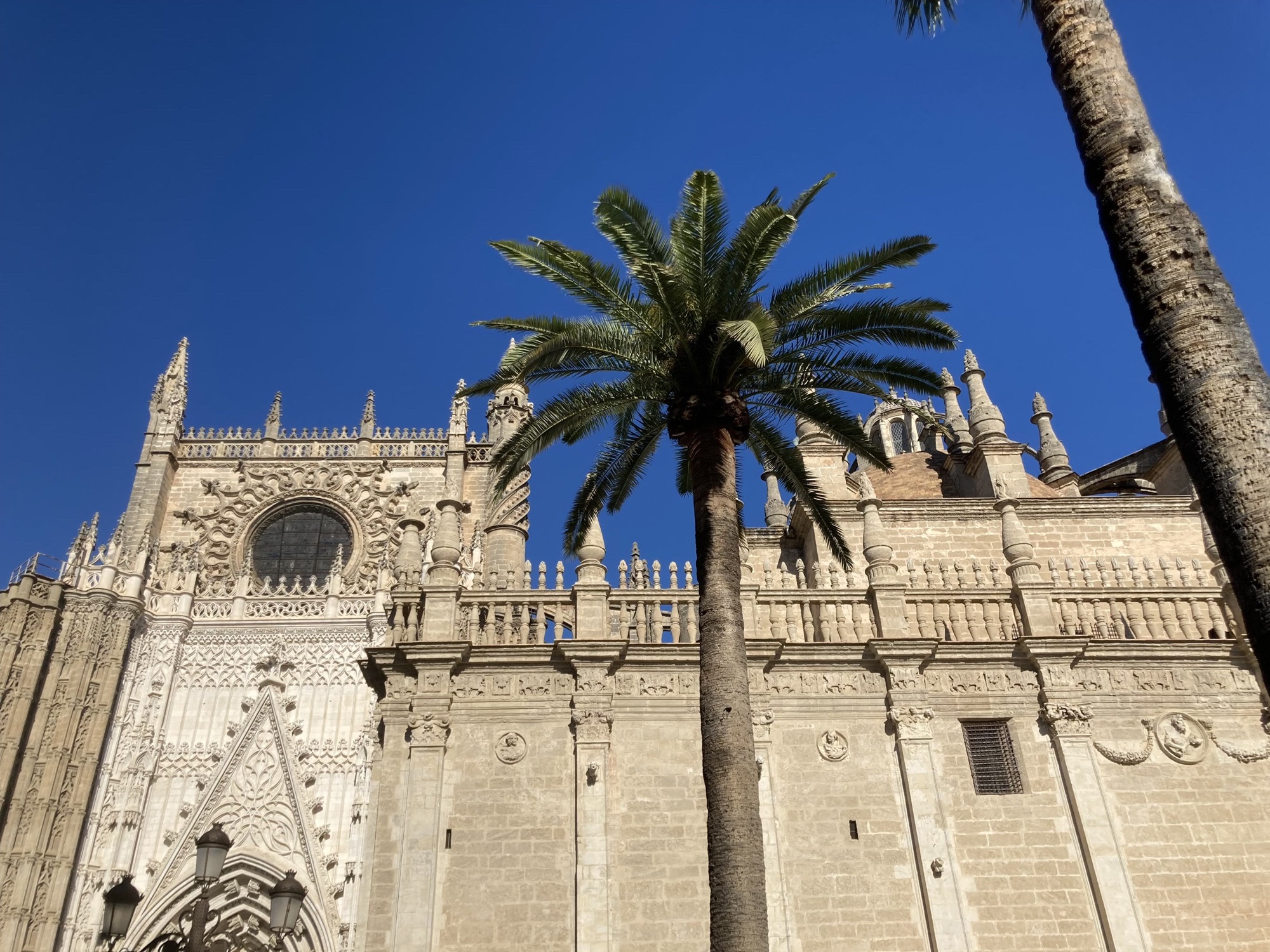 Kathedrale von Sevilla, links das Portal des Haupteingangs, reichlich verzierter Spitzbogen über dem Eingangstor, darüber ein rundes Glasfenster, das rundherum wie eine Sonne verziert ist, im Bild vor der Kathedrale die Krone einer Palme