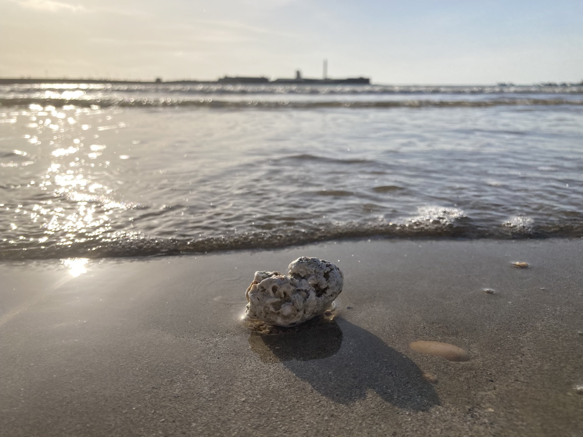 Detailaufnahme eines Steins mit Löchern im Sand gerade bevor er von einer Welle überschwemmt wird