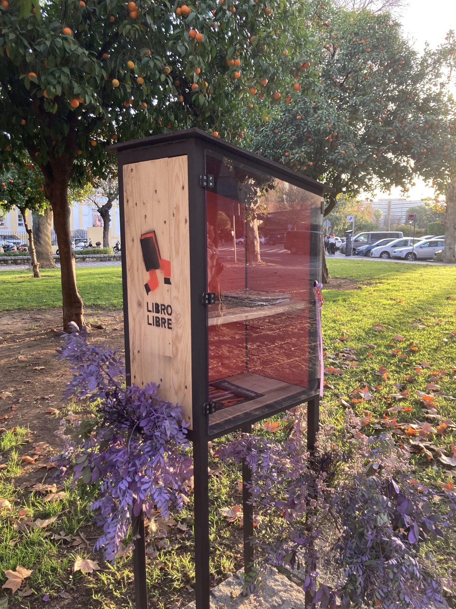 ein Holzschrank mit Glastür auf 4 Metallfüßen, von rechts scheint die Sonne, dahinter ein Orangenbaum. rechts an dem Schrank ist ein Logo mit einem Buch mit Beinen dran und der Aufschrift „Libro libre“