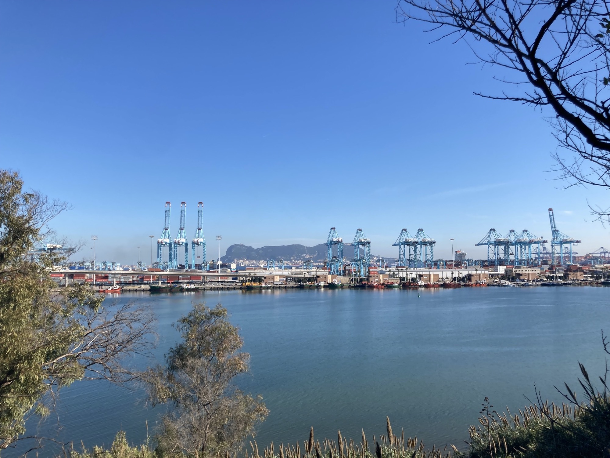 Blick auf den Containerhafen von Algeciras, im Vordergrund Gebüsch, dann eine Wasserfläche, dahinter das Terminal mit vielen blauen Containerkränen, ganz hinten zwischen den Kränen ist der Felsen von Gibraltar zu sehen