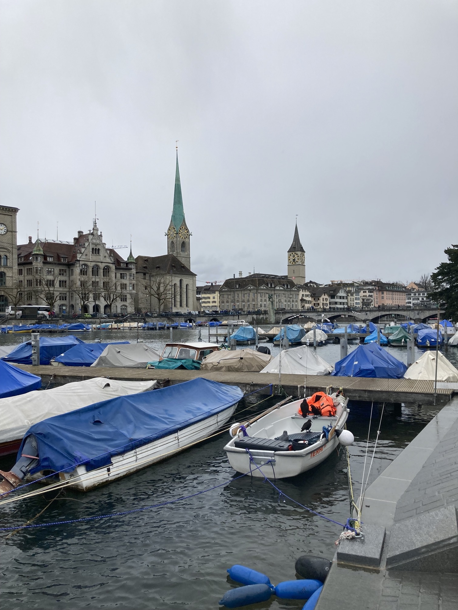 Yachthafen im inneren Limmat-Becken, die meisten Boote sind mit blauen oder weißen Planen abgedeckt, im Hintergrund überragen zwei Kirchtürme die Häuser der Altstadt