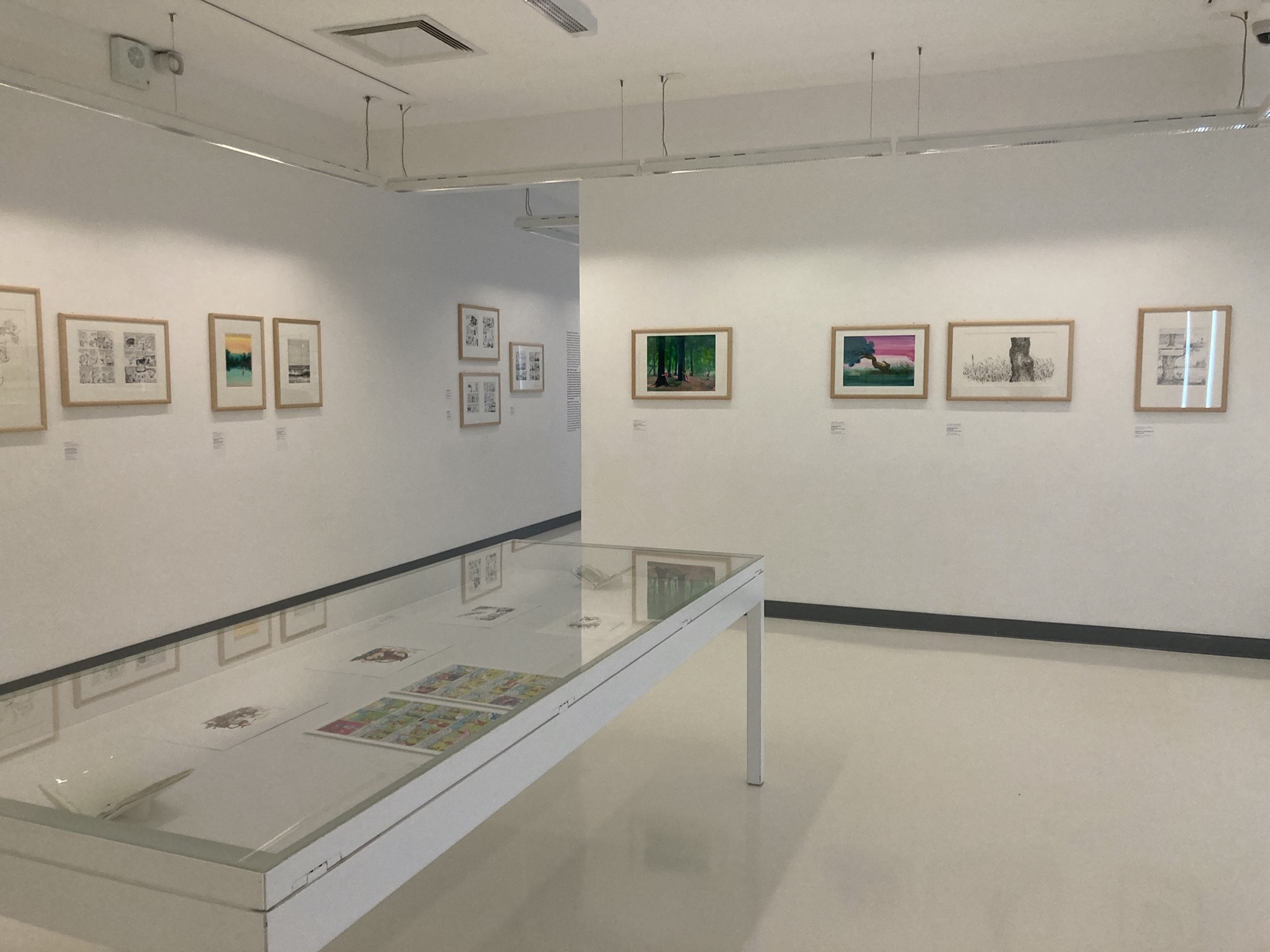 Ausstellungsraum im Musée Tomi Ungerer, in einem langen Glastisch und an den Wänden sind Zeichnungen zu sehen, der Raum ist in weiß gehalten