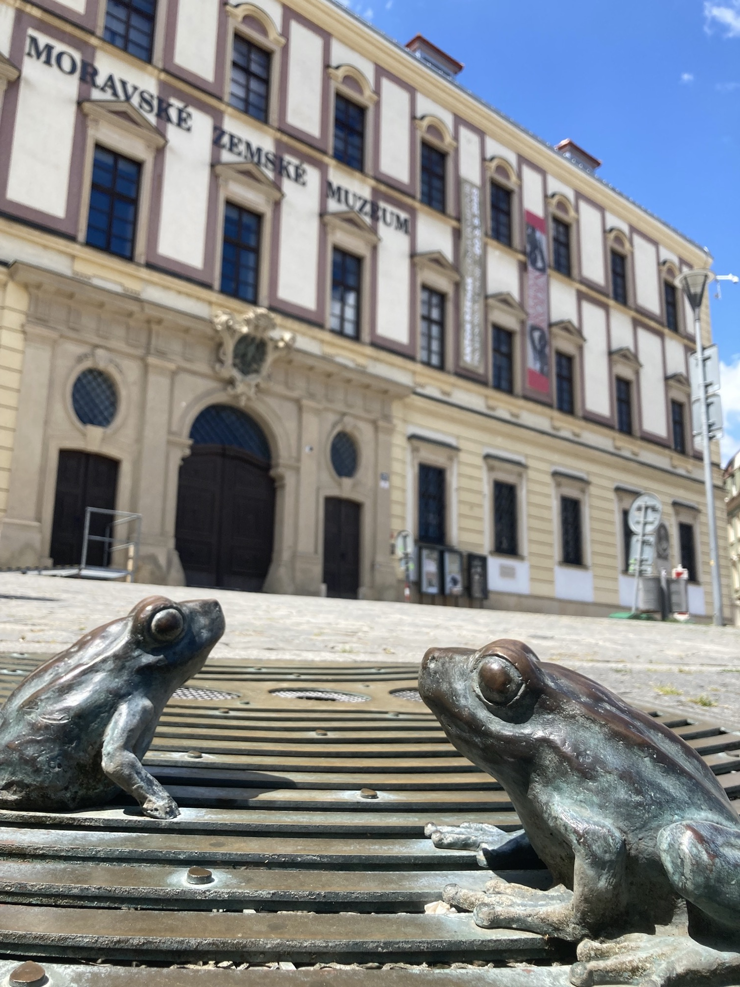 Froschperspektive, im Vordergrund sitzen zwei metallene Frösche auf einem Gitter, dahinter etwas unscharf das Moravské Zemské Muzeum