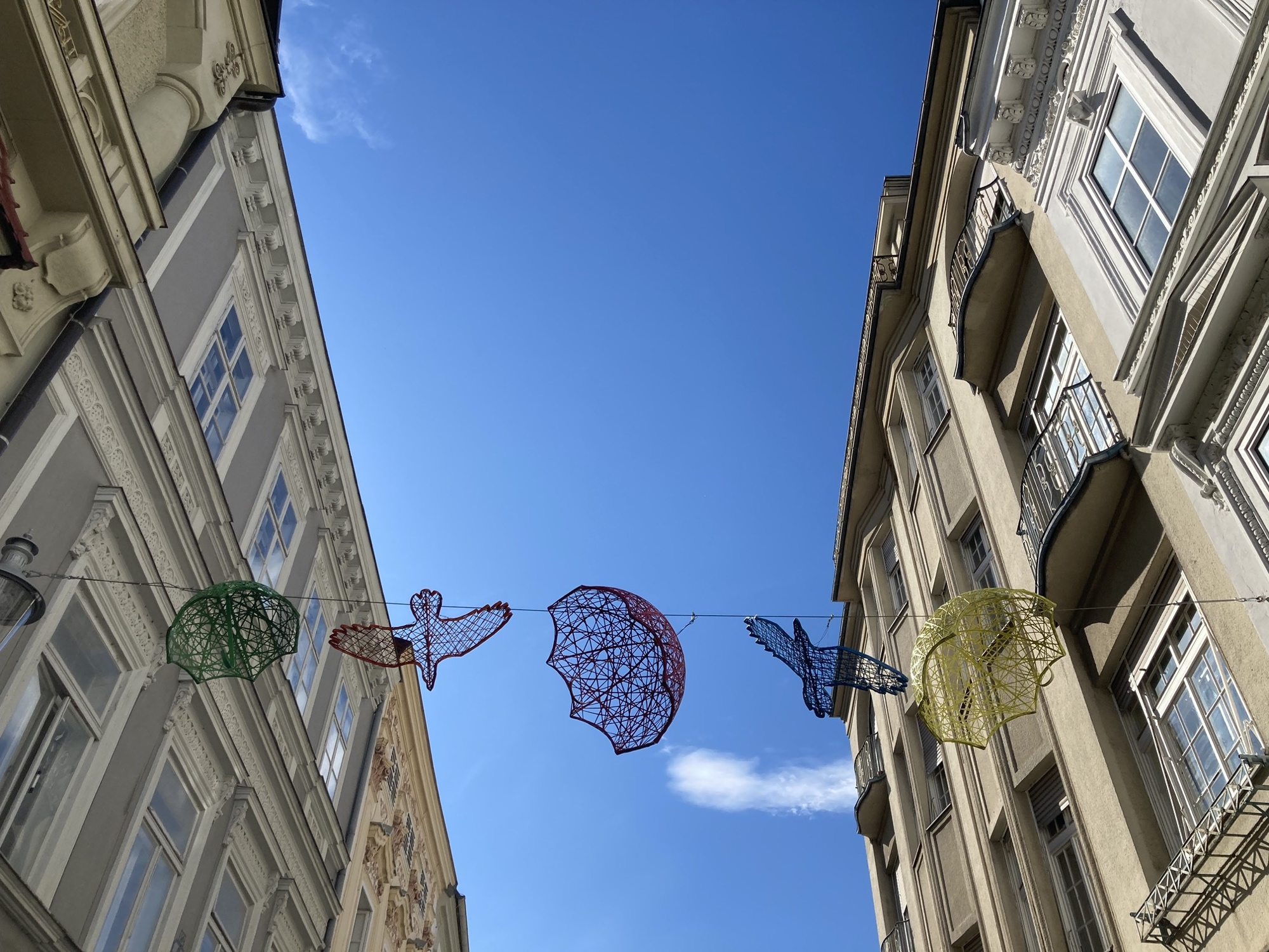 Blick nach oben, zwischen zwei Häuserfluchten ist Dekoration aufgespannt: aus Metallgittern bestehende Regenschirme und Vögel in versch. Farben
