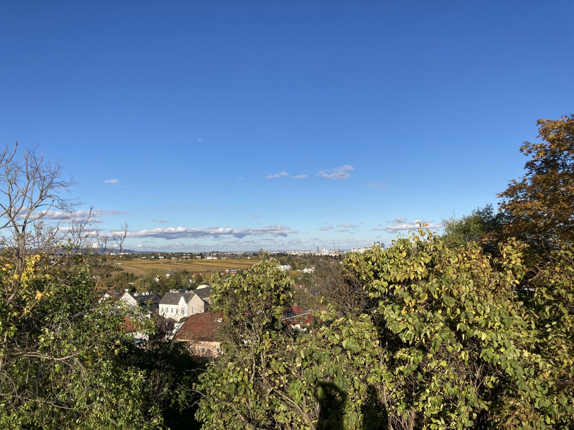 Ausblick Richtung Lainer Tiergarten von einem Hügel in Perchtoldsdorf, viel blauer Himmel, tief liegende Wolken, grüne Sträucher im Vordergrund