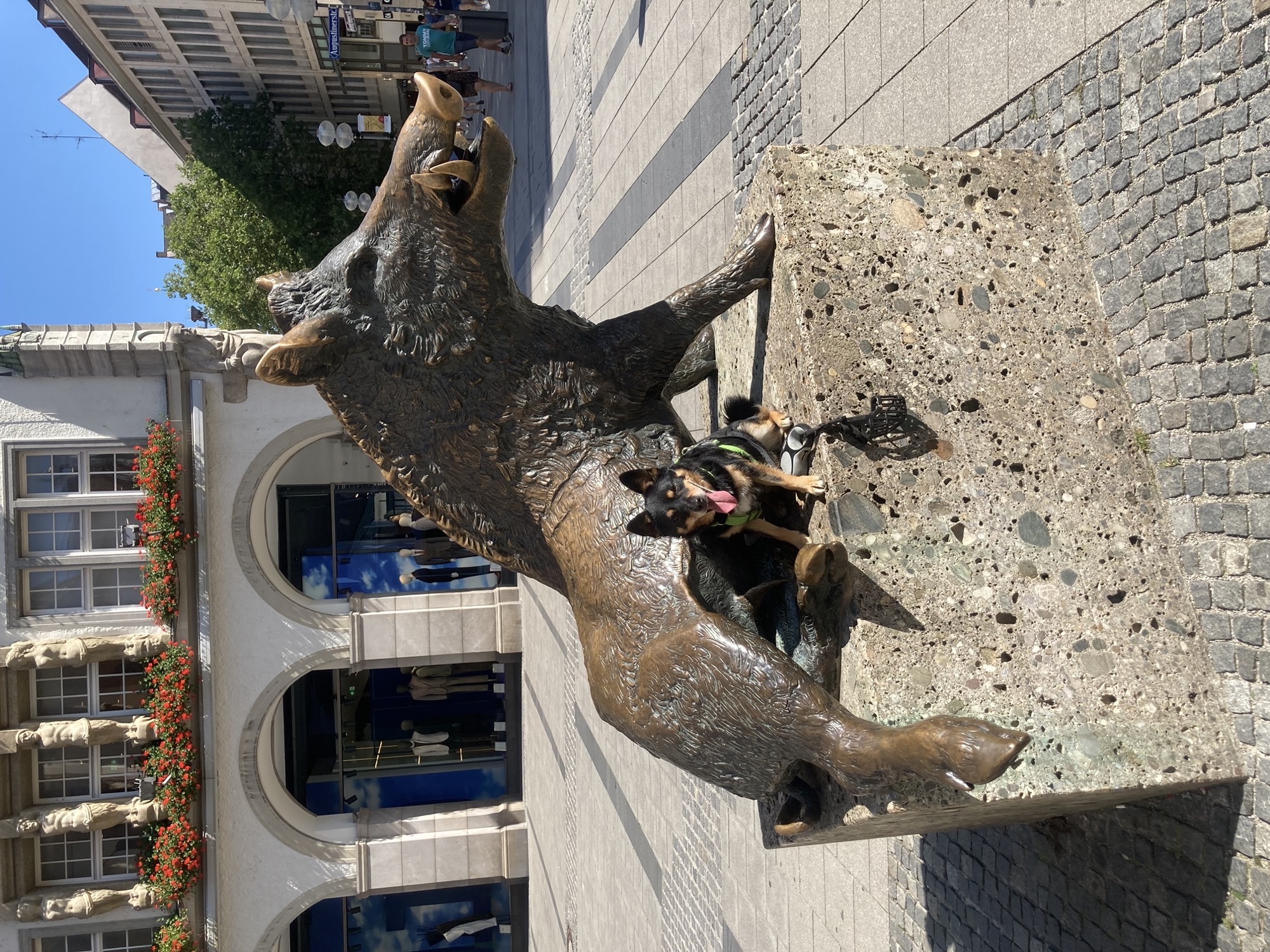 braune Metallstatue eines Keilers auf einem Steinblock, an der Seite der Statue sitzt ein braunschwarzer Hund, der Hund ist viel kleiner als die Statue