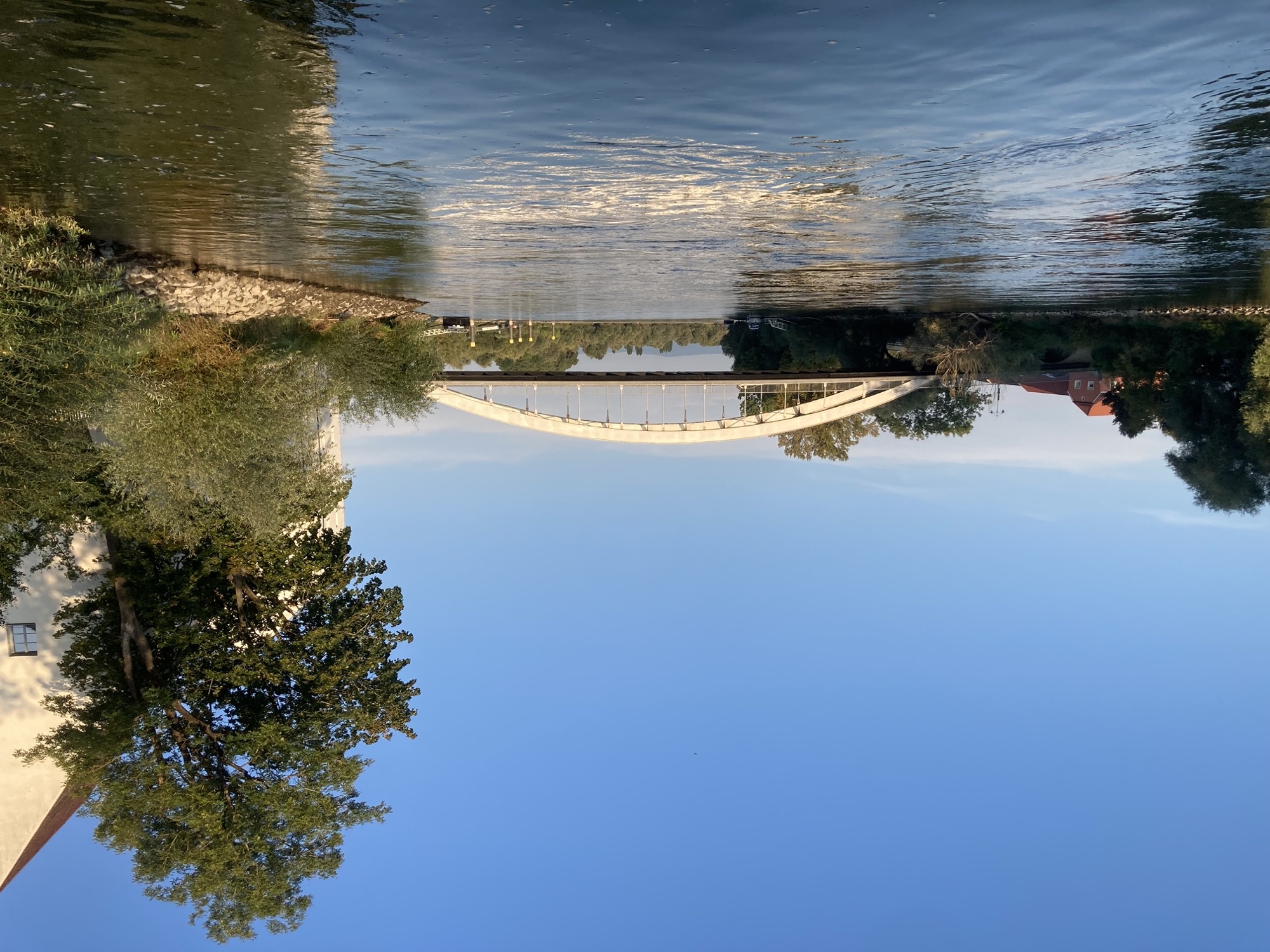 Brücke über die Donau, im Vordergrund Wasser, rechts am Ufer Bäume und Sträucher, die Brücke ist ein sanft geschwungener Bogen, der von senkrechten Streben gehalten wird