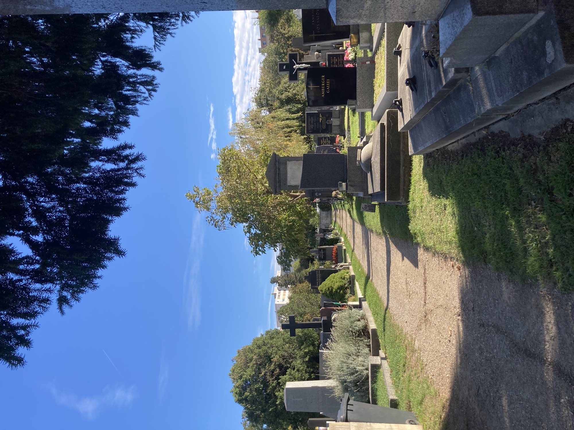 Friedhofsweg im September, Gras und Bäume sind großteils grün, teilweise aber auch schon gelb, die Sonne scheint von rechts ins Bild, die Grabsteine werfen bereits lange Schatten