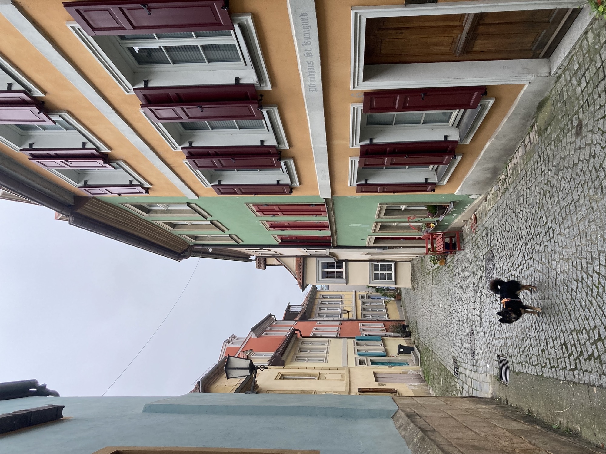 schmale Gasse mit gepflastertem Boden, die schmalen Häuser links und rechts din in bunten Farben gestrichen, in der Mitte der Gasse ein schwarzbrauner Gund, der Richtung Kamera schaut