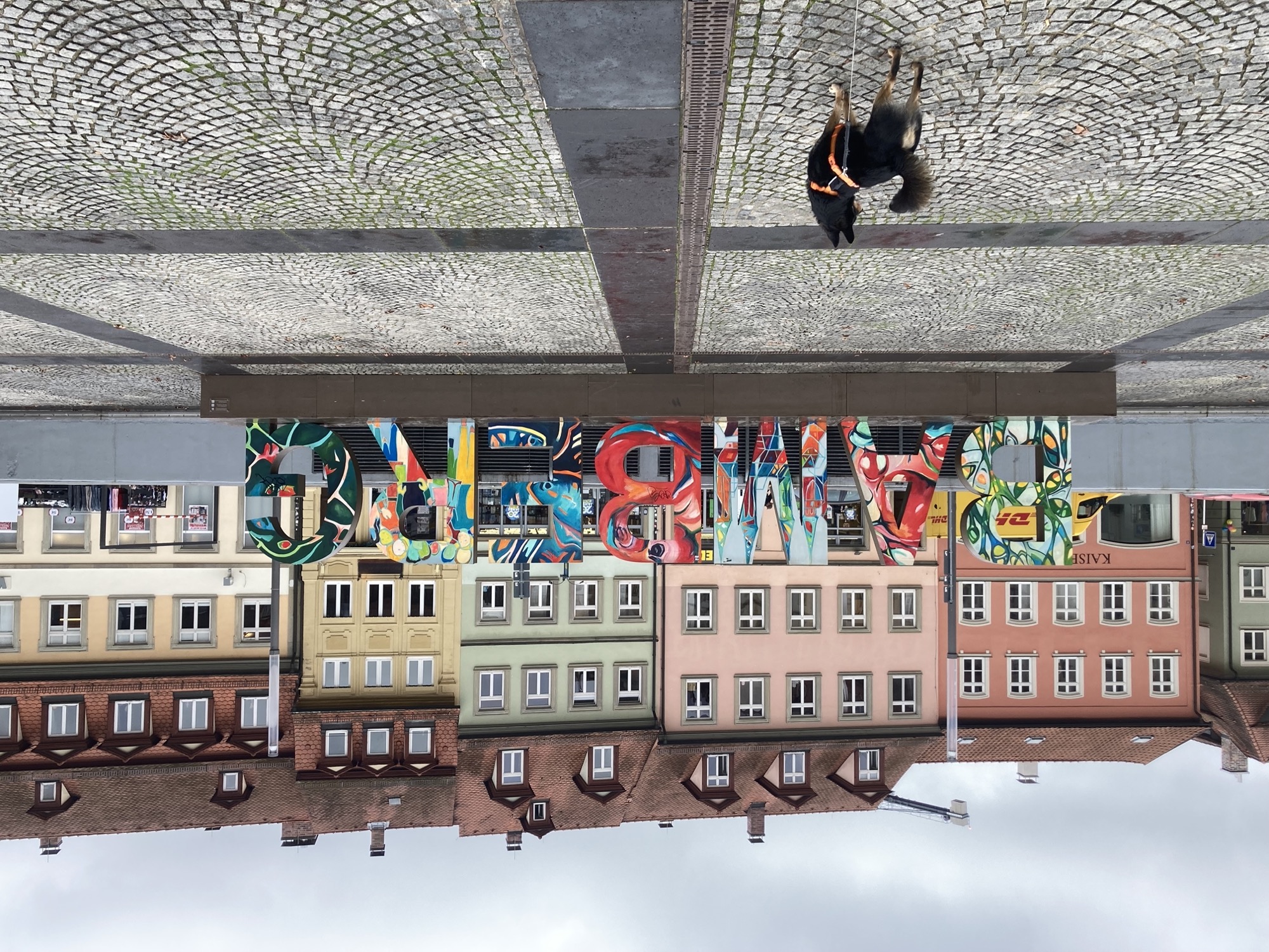 Schriftzug „BAMBERG“, die Buchstaben sind etwa menschengroß und sehr bunt bemalt, dahinter schmale dreistöckige Häuser, vorne im Bild steht ein schwarzbrauner Hund, der nach links aus dem Bild schaut