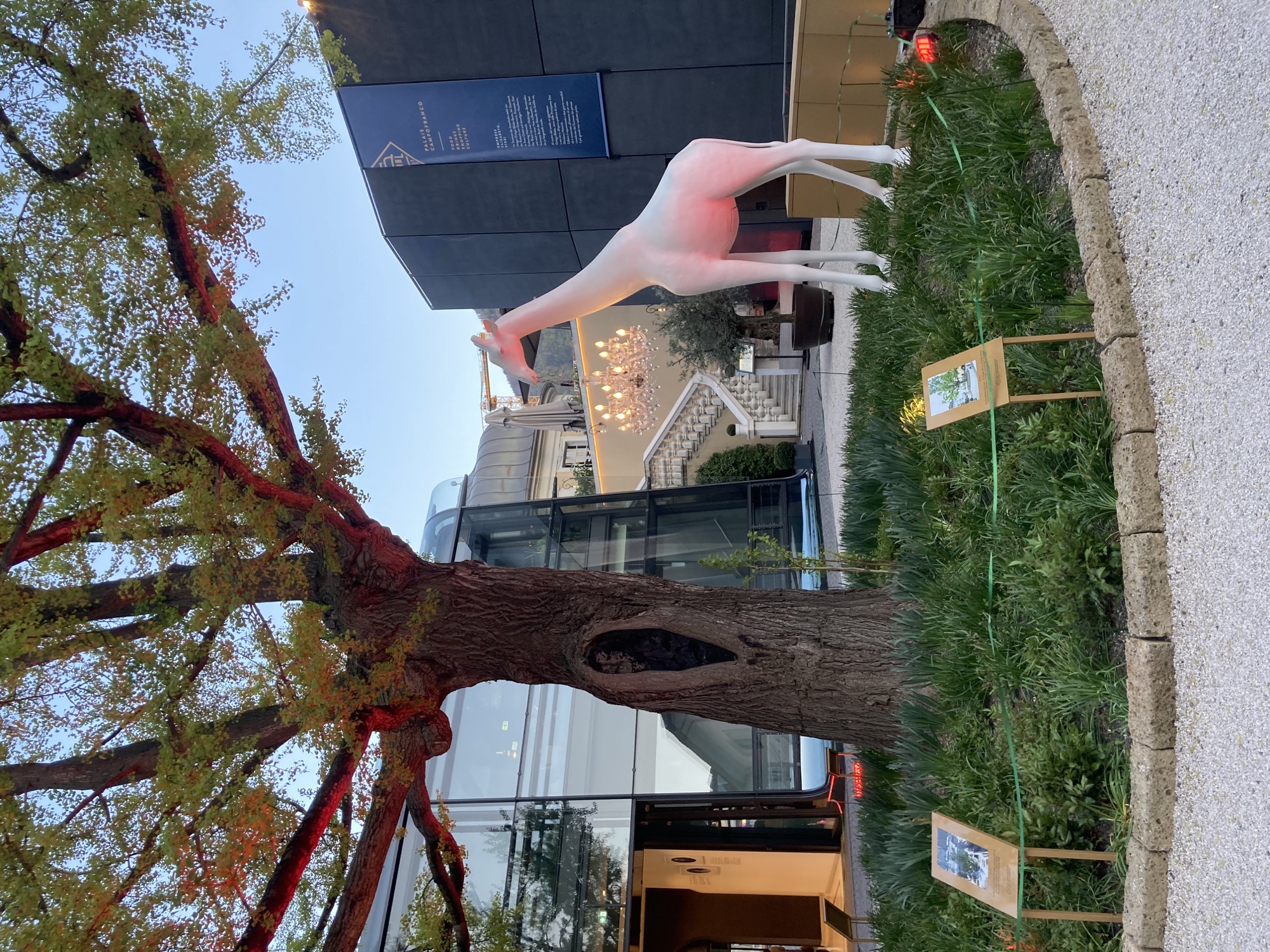 in einem Innenhof steht in einer runden Einfassung ein hochgewachsener Baum (Gingko Biloba), rechts davon eine weiße Statue in Form einer Giraffe, die Giraffe trägt einen Kronleuchter im Maul