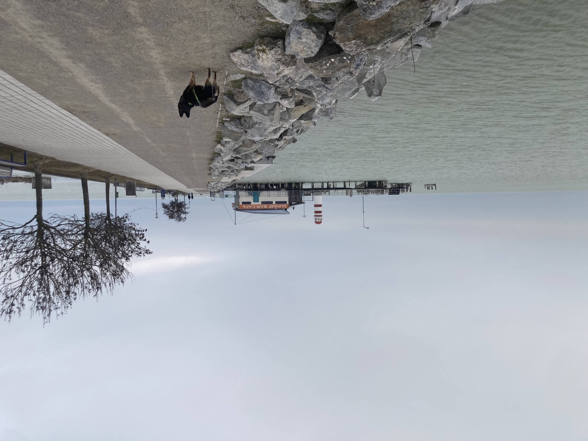 Pier am See, links wird das Pier von Steinen begrenzt, im Vordergrund steht ein kleiner schwarzer Hund, der von der Kamera wegschaut, im Hintergrund ein Haus mit der Aufschrift „Sunset-Bar-Café“, dahinter ein rot-weiß gestreifter Leuchtturm