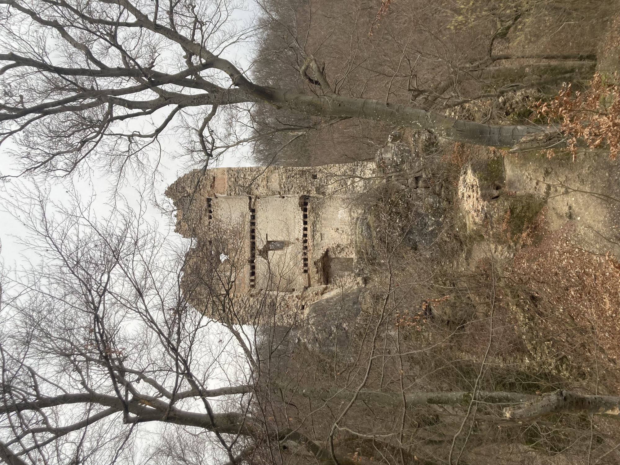 Ruine eines Burgturms zwischen kahlen Bäumen