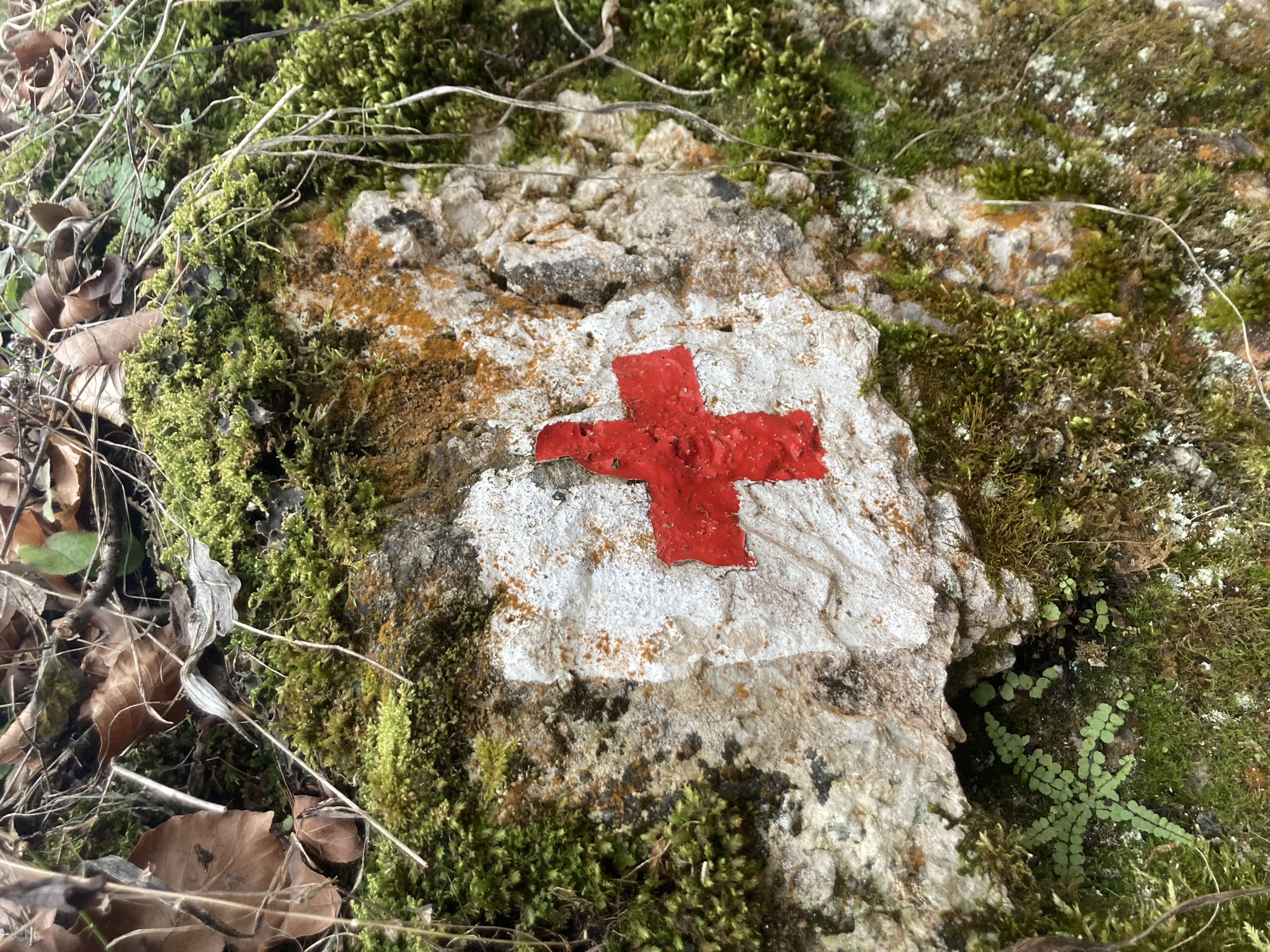 auf einen bemoosten Stein ist ein Wanderwegzeichen gemalt, ein rotes Kreuz auf weißem Hintergrund