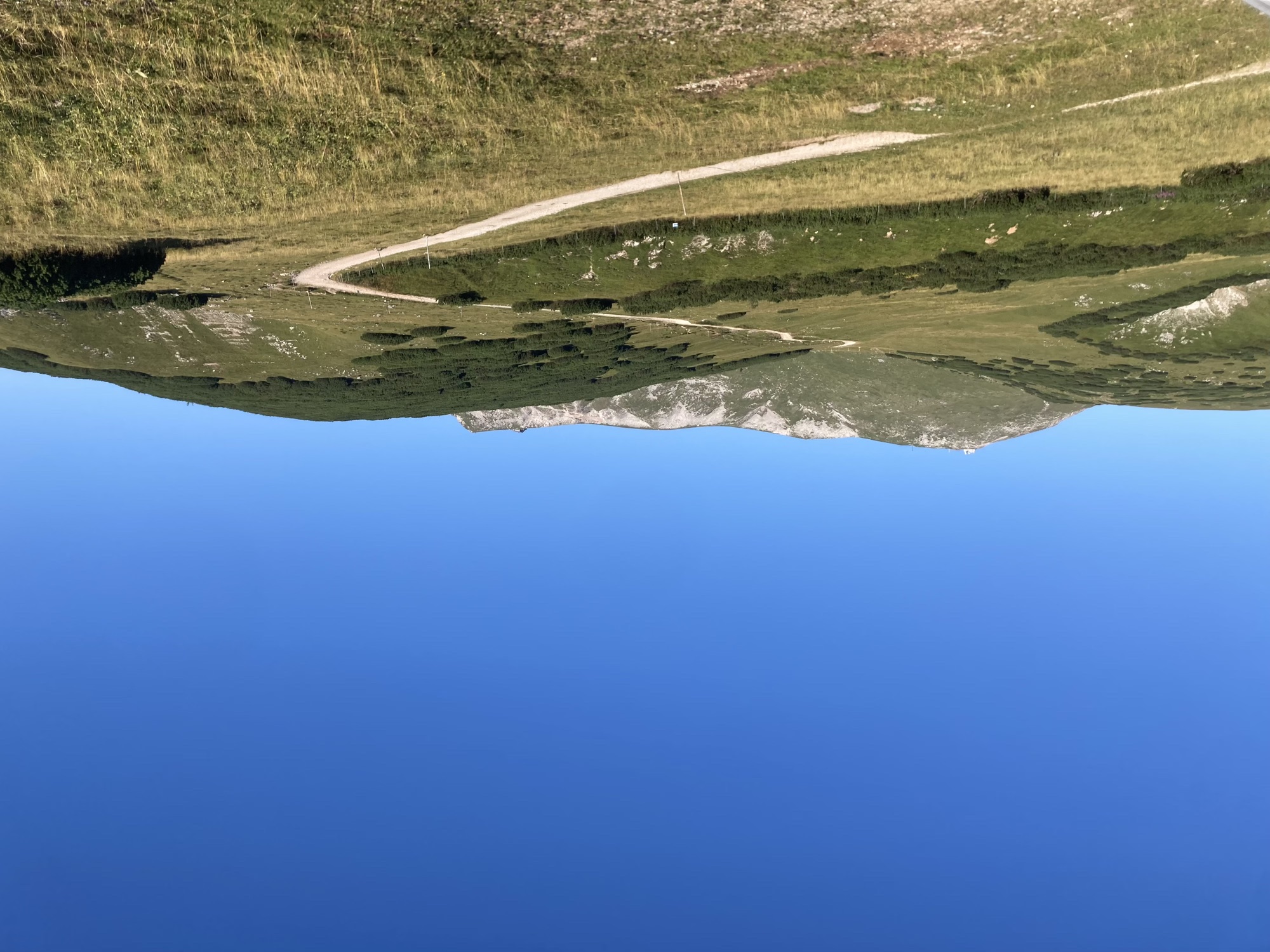 Wanderweg zum Gipfel des Schneebergs, strahlend blauer Himmel über niedriger Vegetation in verschiedenen Grün-Tönen, mittig das Gipfelplateau des Schneebergs mit dem Gipfelkreuz links und der Fischerhütte rechts