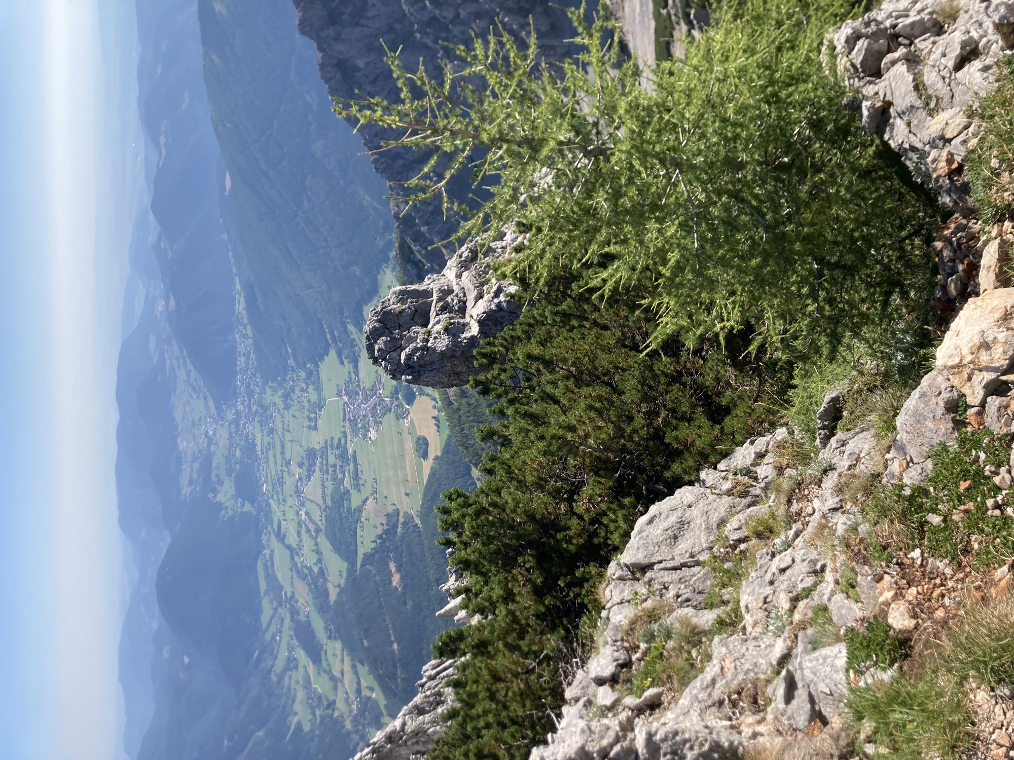 Blick ins Tal, oben ein einzelner Nadelbaum zwischen Felsen
