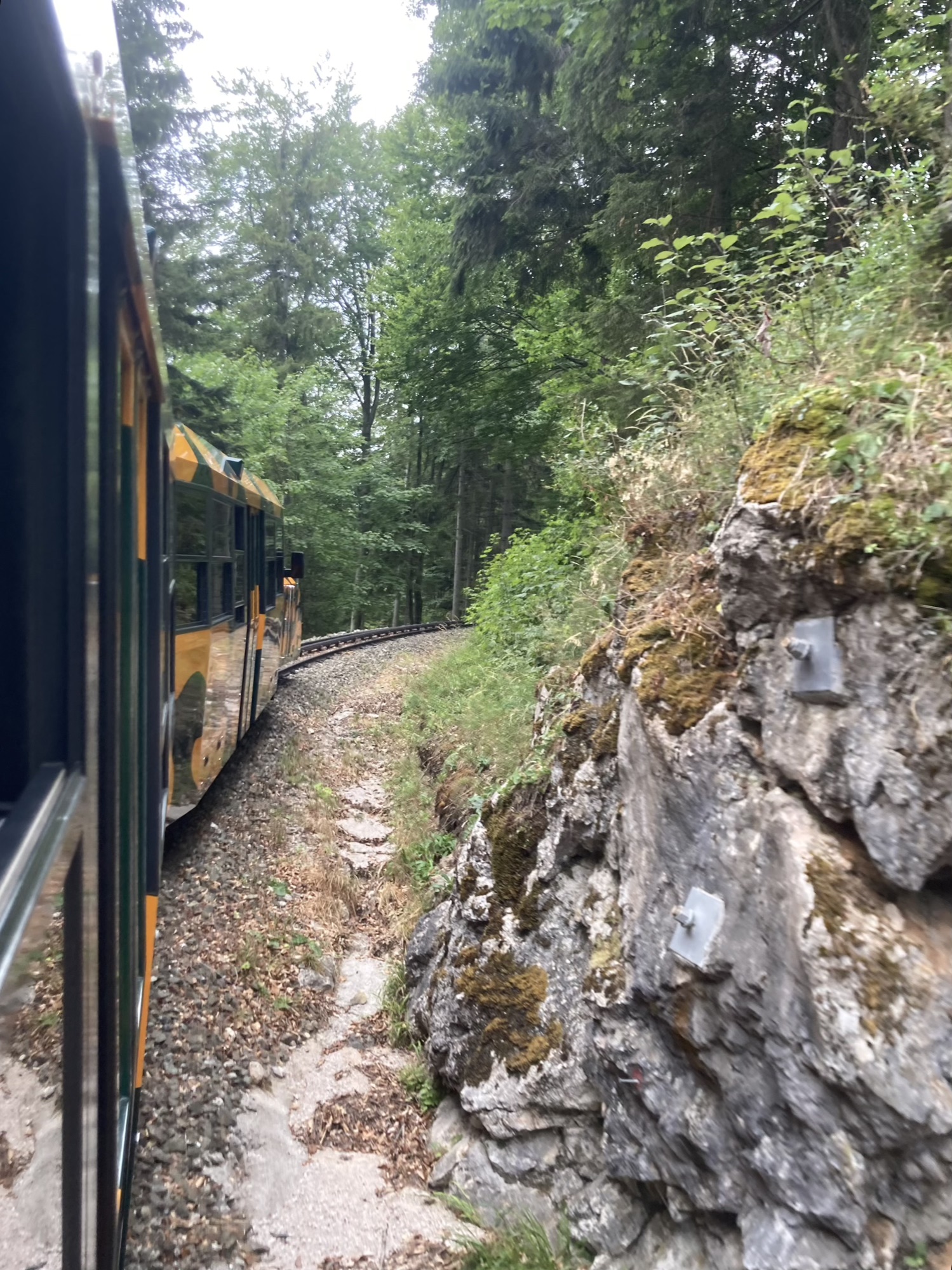 Ausblick aus dem Fenster der Zahnradbahn in Fahrtrichtung, vorne die Gleise, die in eine Kurve fahren, rechts eine moosbewachsene Felswand