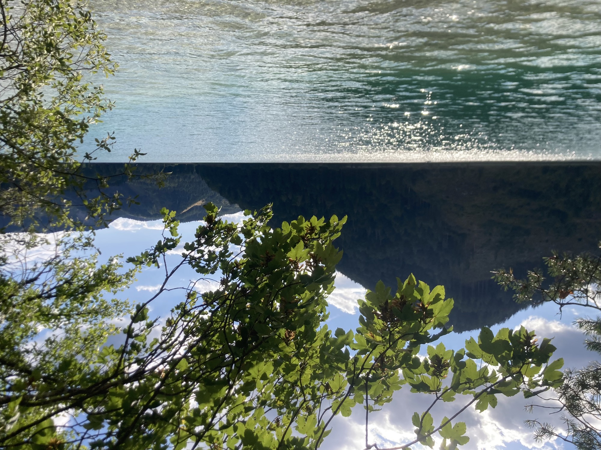 unten türkis glitzerndes Seewasser, oben scheint die Sonne zwischen Blättern durch