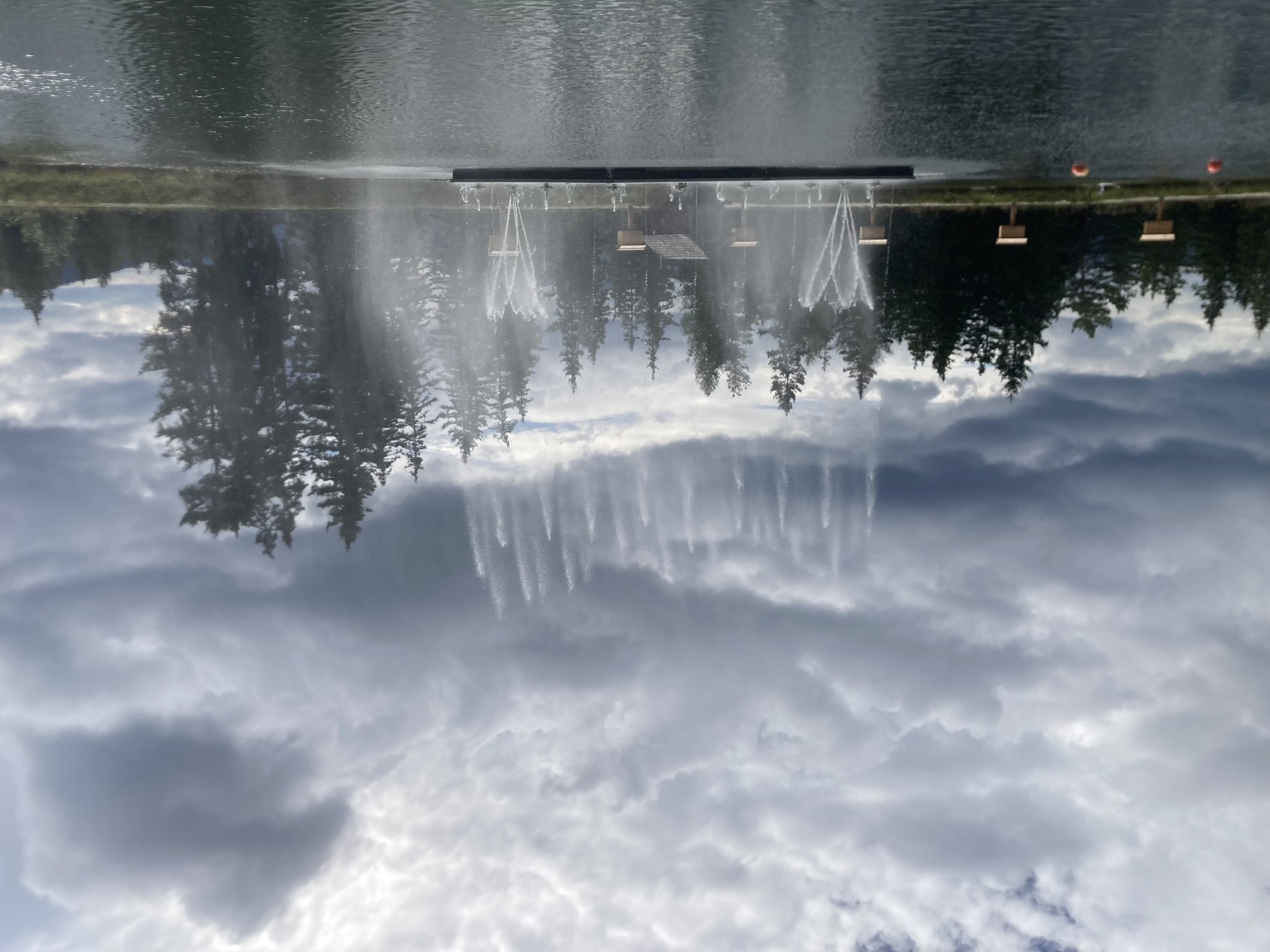 Wasserspektakel mit dekorativ sprühenden Düsen auf einem See vor düster bewölktem Himmel