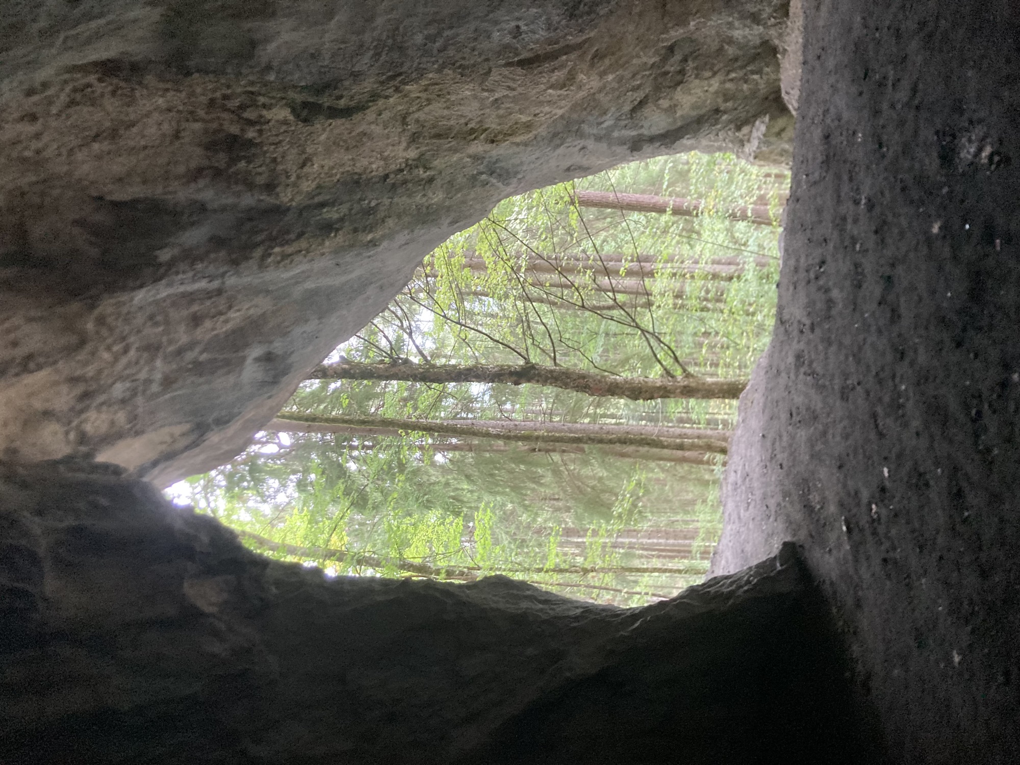 Ausblick aus dem Inneren einer Höhle, durch den nach oben spitz zulaufenden Ausgang sind hohe Bäume und etwas Grün zu sehen