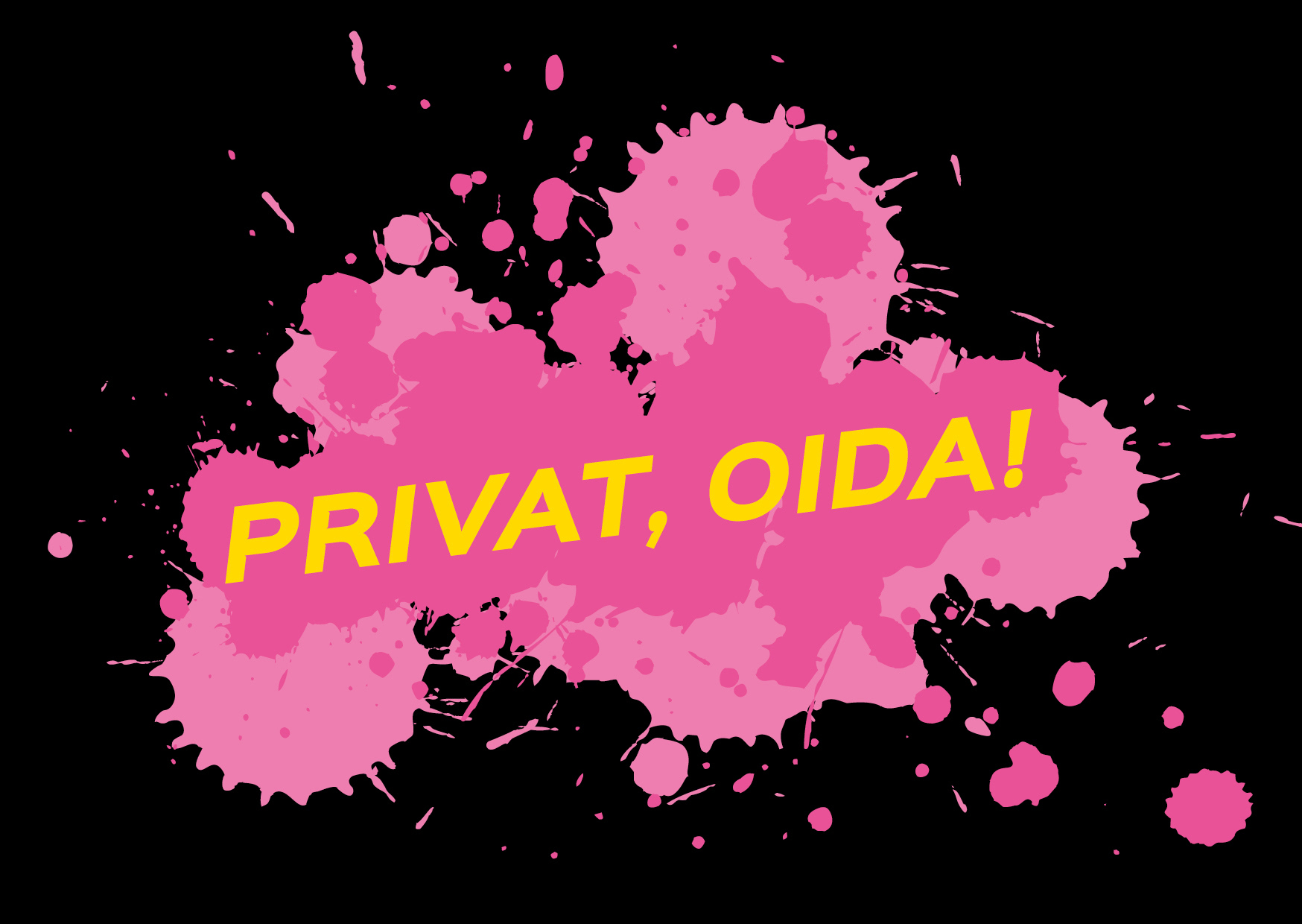 Kernmotiv PrivacyWeek 2019: Privat, Oida!